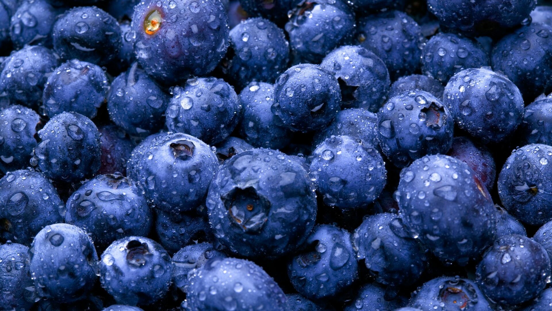 Blue Food Wallpaper: HD, 4K, 5K for PC and Mobile. Download free image for iPhone, Android