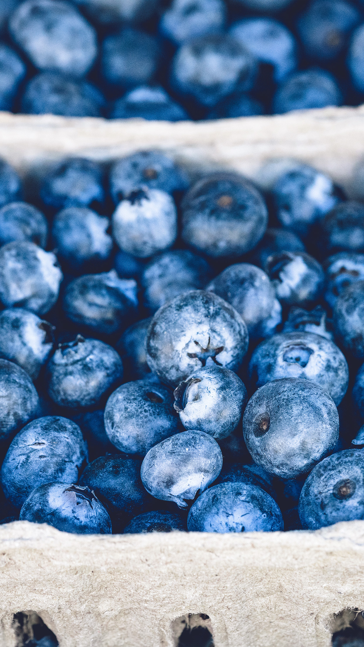 Blueberry Mart Fruit Nature Eat Food Wallpaper