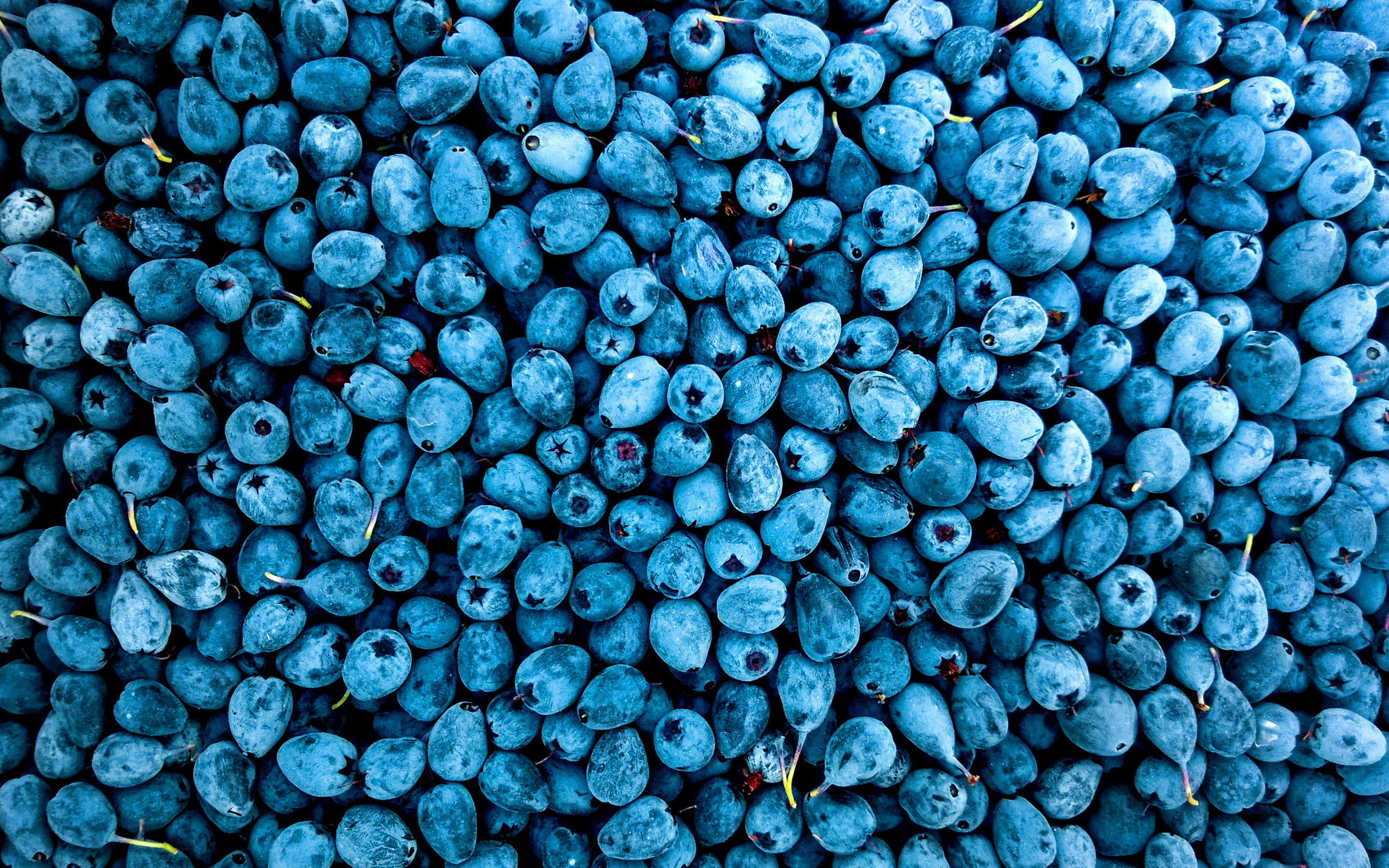 Download Wallpaper Blueberries, Close Up, Berries, Food Textures, Fresh Fruits, Background With Blueberries, Blue Background For Desktop With Resolution 2880x1800. High Quality HD Picture Wallpaper