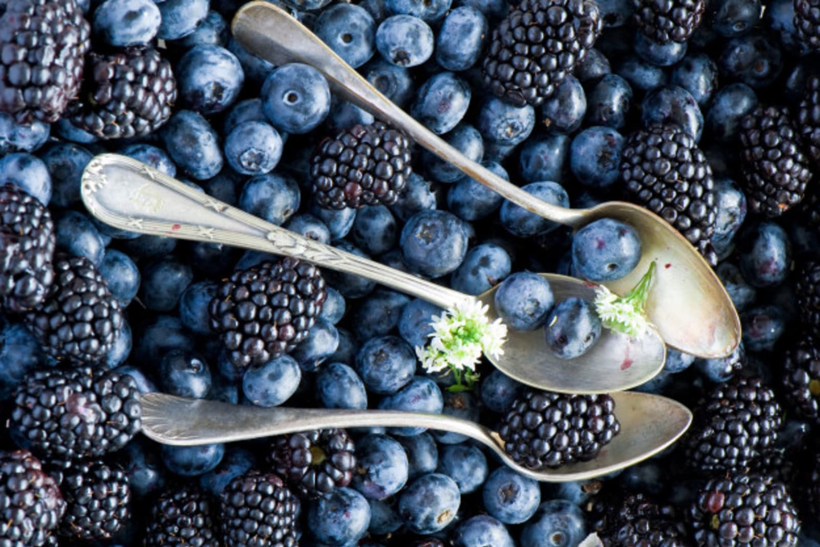 Why You Should Eat Blue and Purple Food