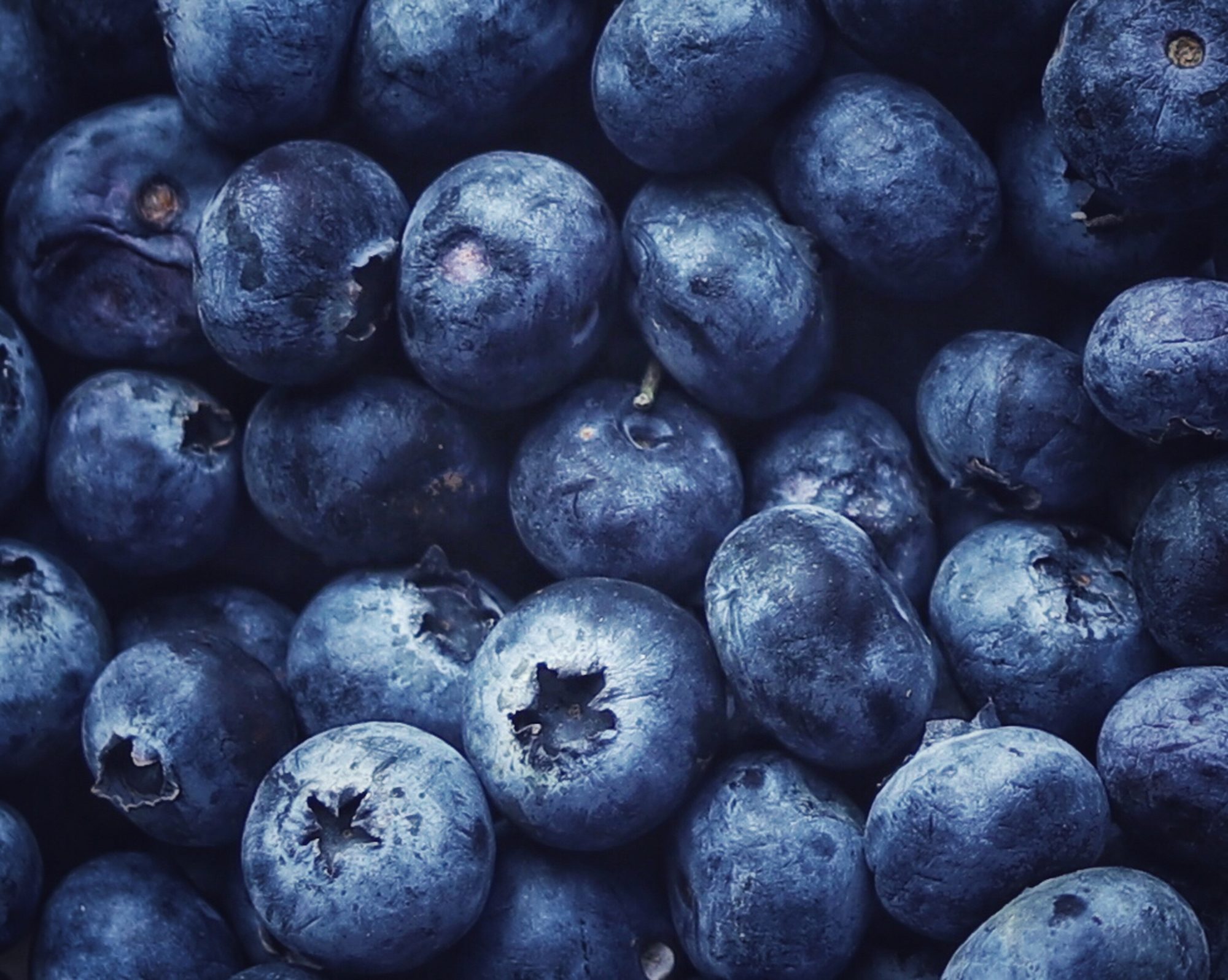 Dole Recalls Blueberries Due to Possible Cyclospora Contamination