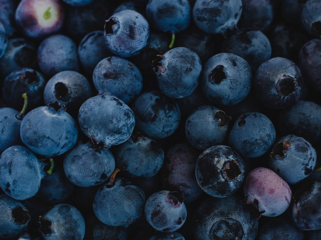 Download Fresh, Blueberries, Dark Blue, Fruit 1024x768 Wallpaper, 1024x768 Standard 4: Fullscreen, 1024x768 HD Image, Background, 21796