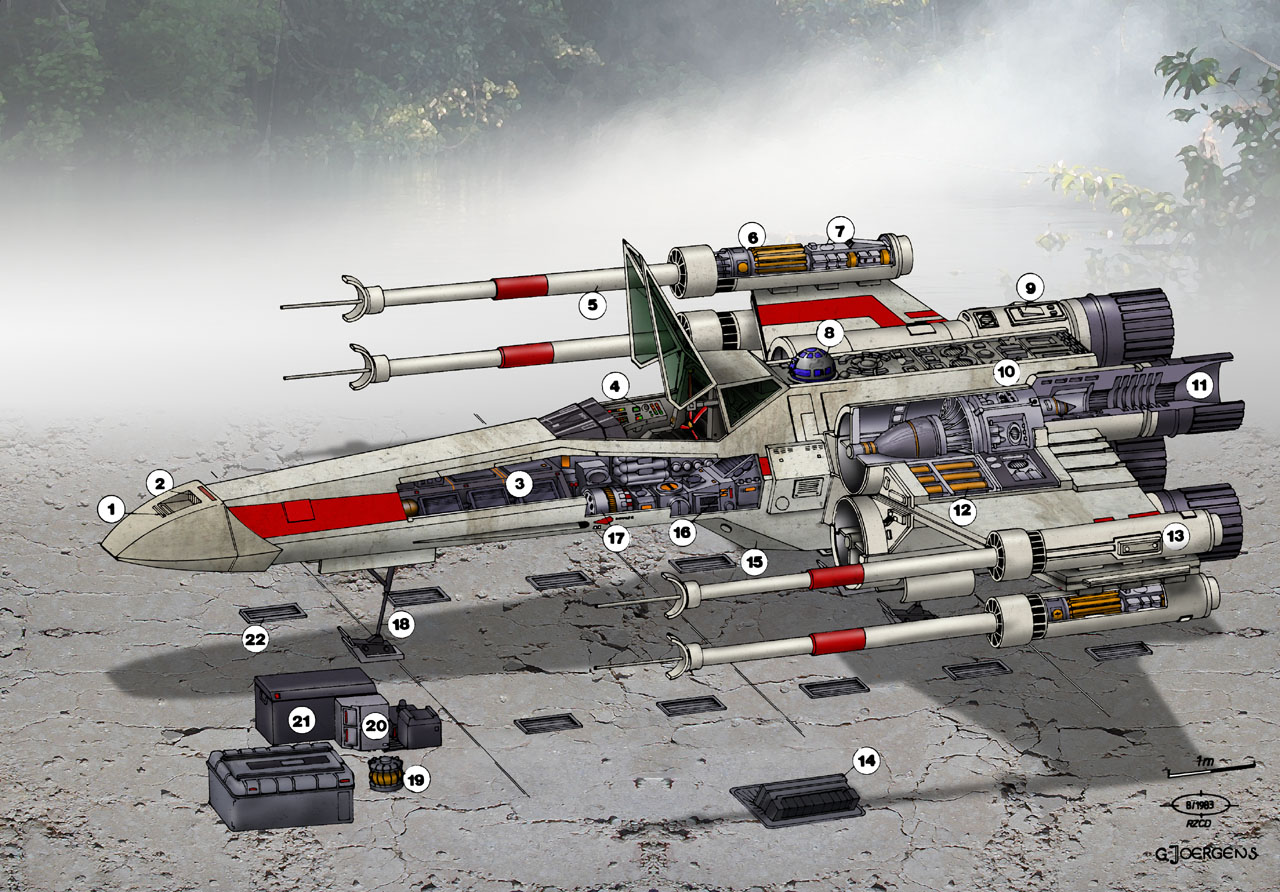 Free download Star Wars T 65 X Wing Fighter by Paul Muad Dib [1280x892] for your Desktop, Mobile & Tablet. Explore T 70 X Wing Wallpaper. T 70 X