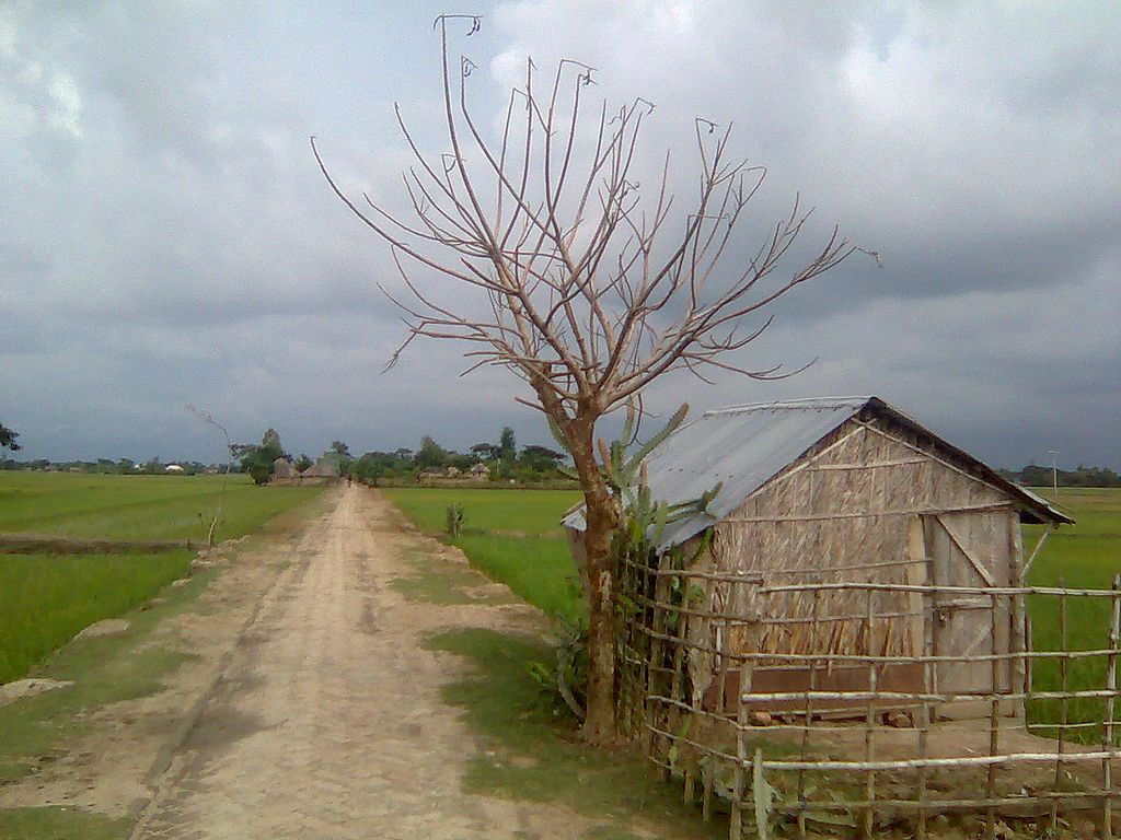 Natural view of Village