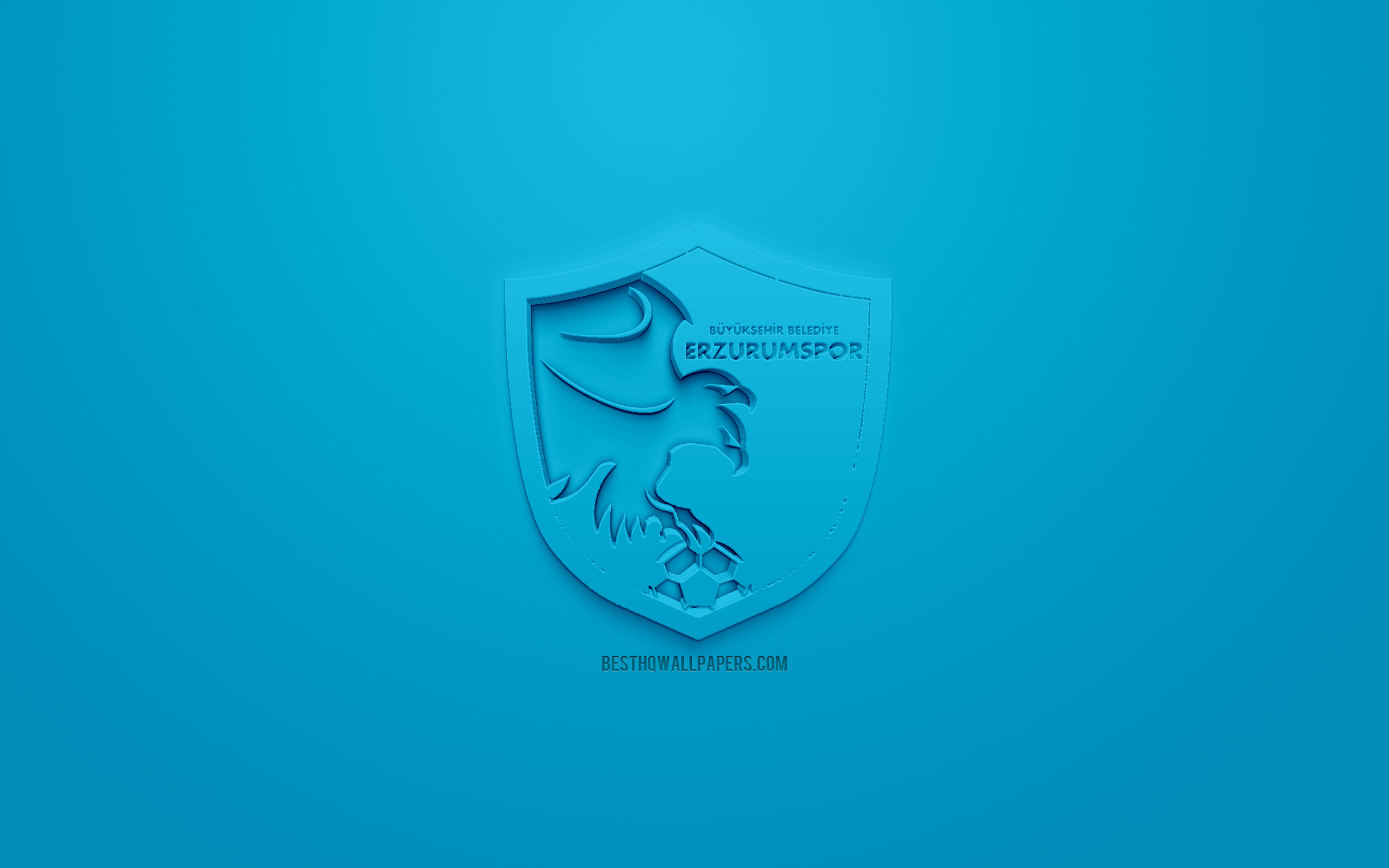 Download wallpaper Erzurum BB, creative 3D logo, blue background, 3D emblem, Turkish football club, SuperLig, Erzurum, Turkey, Turkish Super League, 3D art, football, 3D logo for desktop with resolution 2560x1600. High Quality