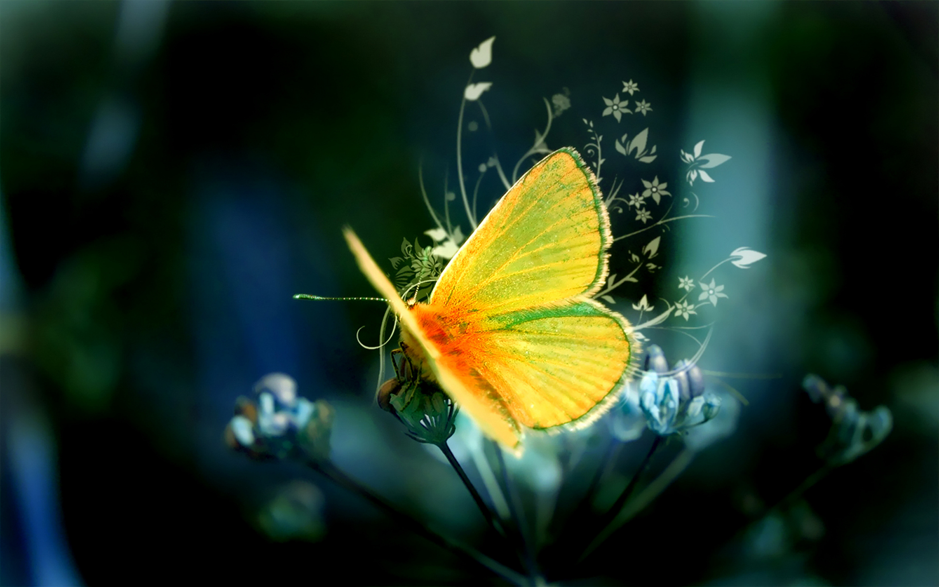 yellow butterfly background