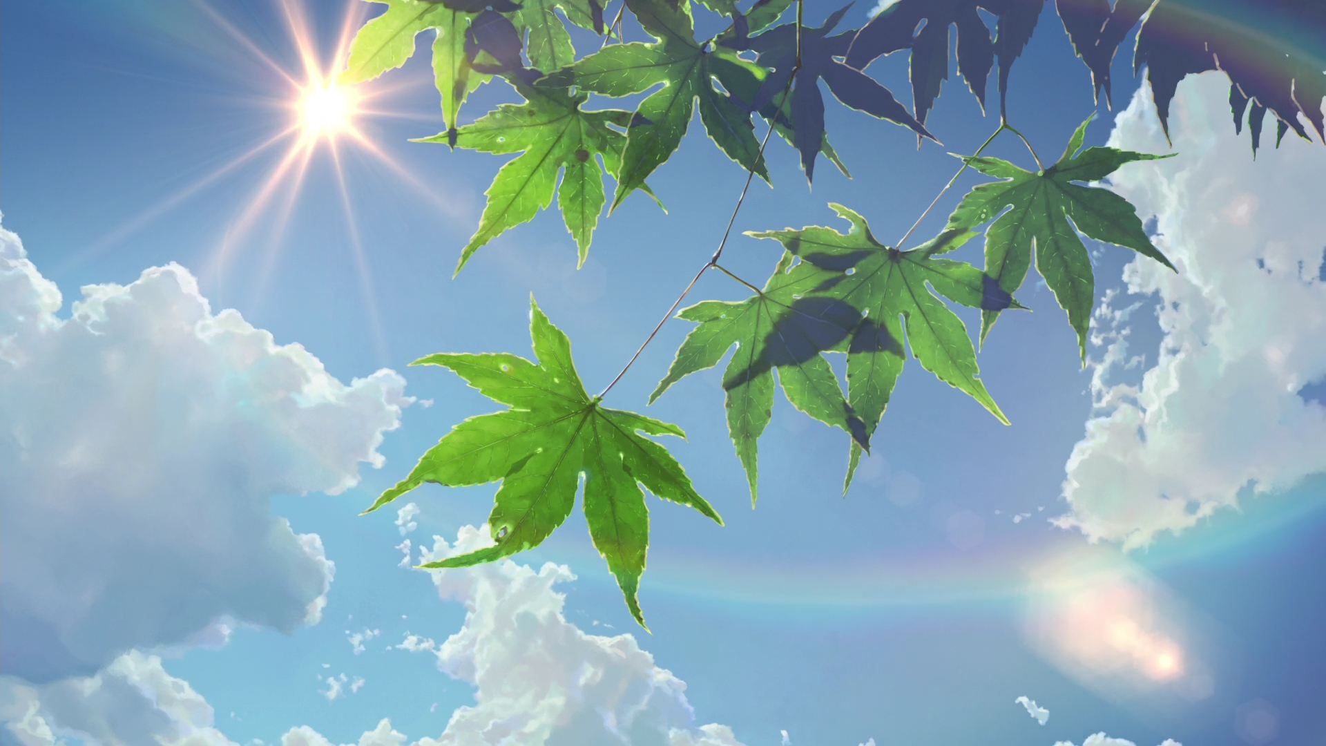Desktop Wallpaper Leaves, Tree, Anime, Sun, Clouds, HD Image, Picture, Background, O33xdp