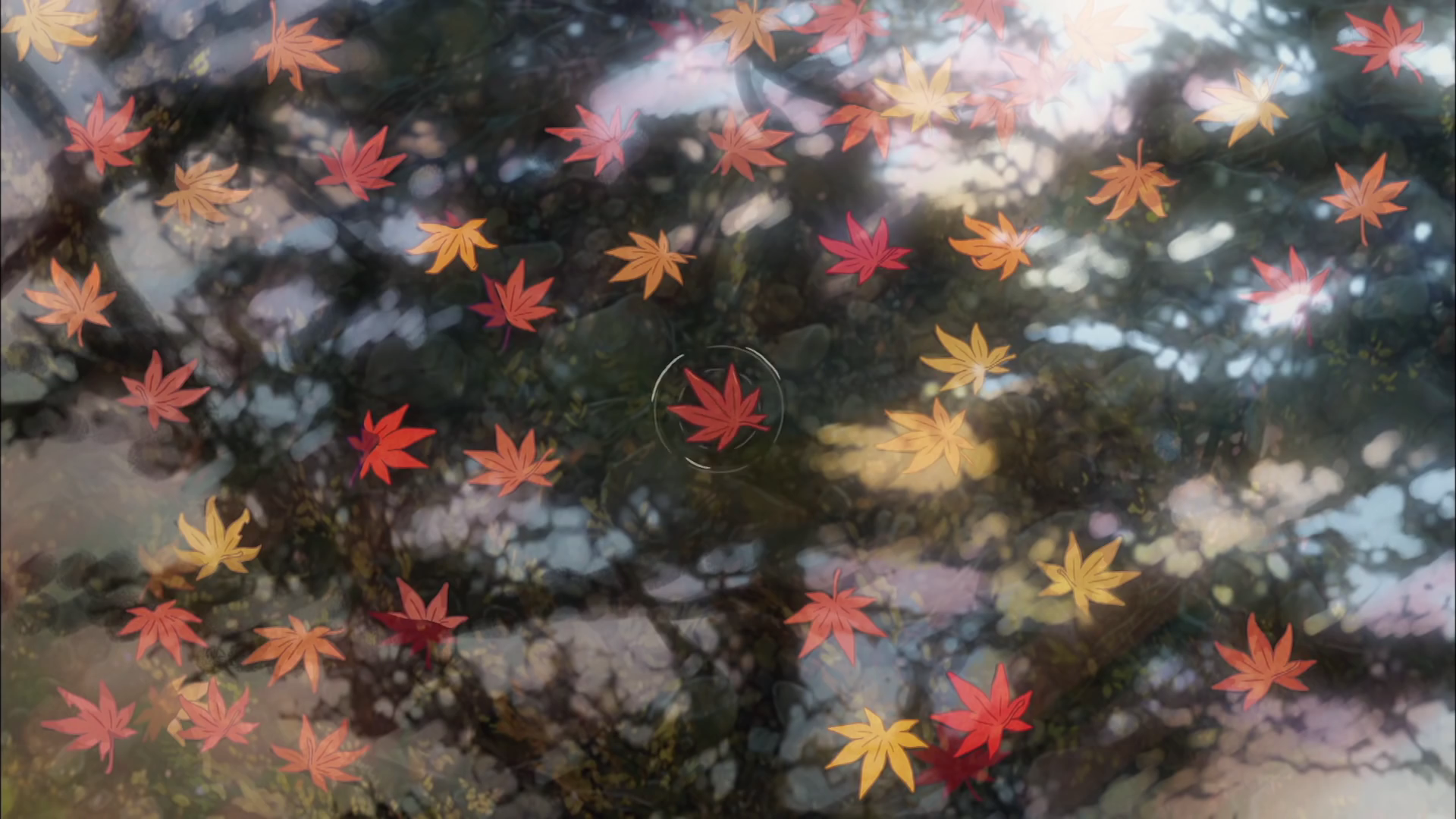 Leaves in water Your Name. (君の名は。)