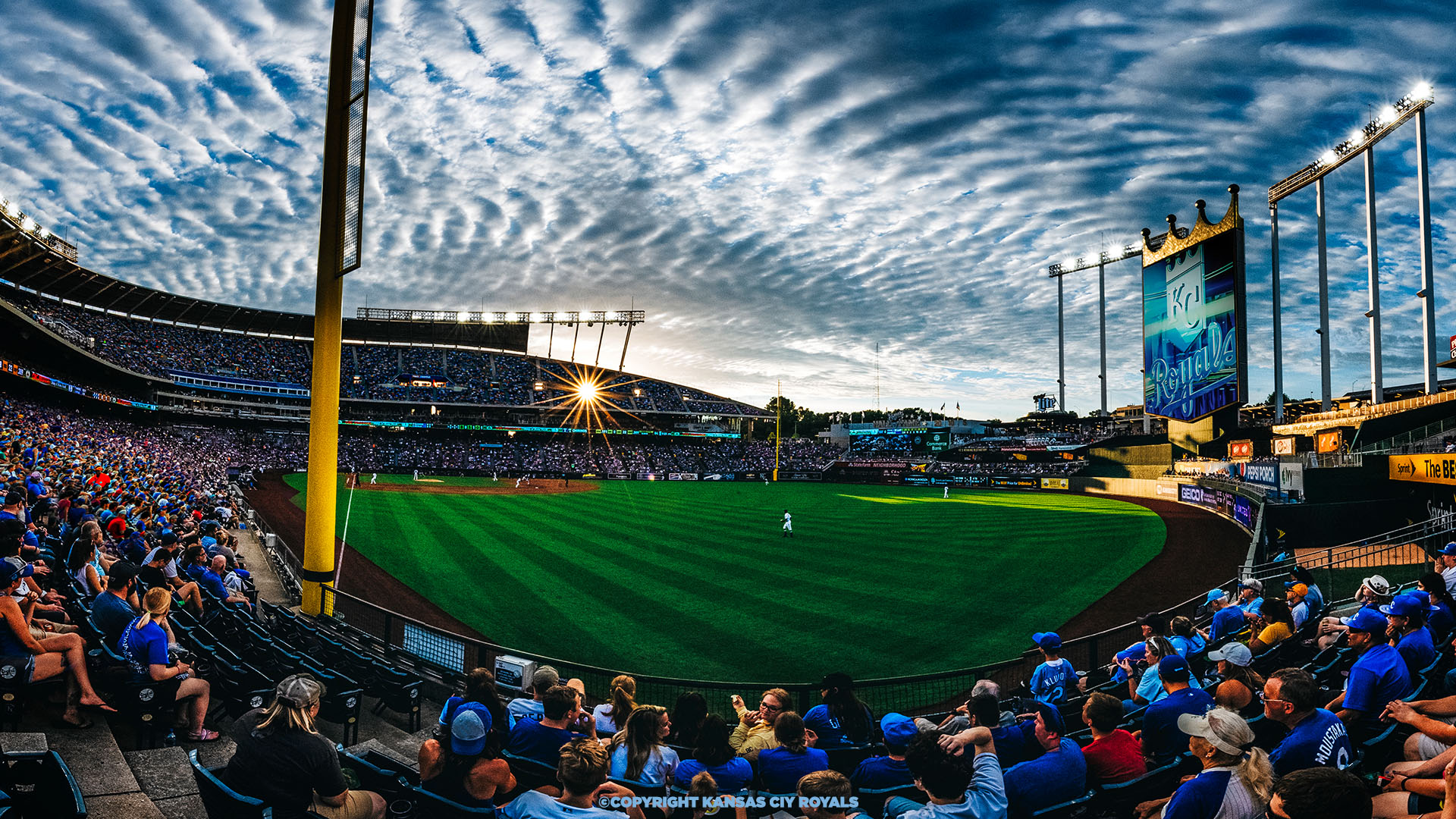 Kansas City Royals your coworkers that you're #AlwaysRoyal in your next virtual meeting with these background!