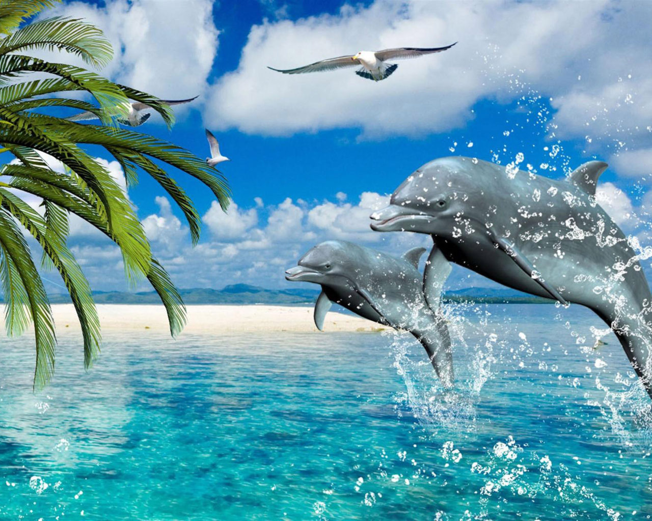 Dolphins Summer Sea Gulls Palm Desktop Wallpaper HD For Mobile Phones And Laptops 2560x1440, Wallpaper13.com