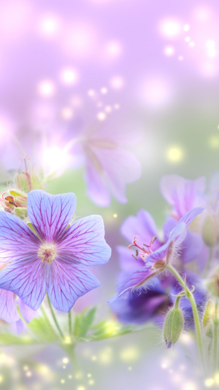 Spring HD Wallpaper 62002