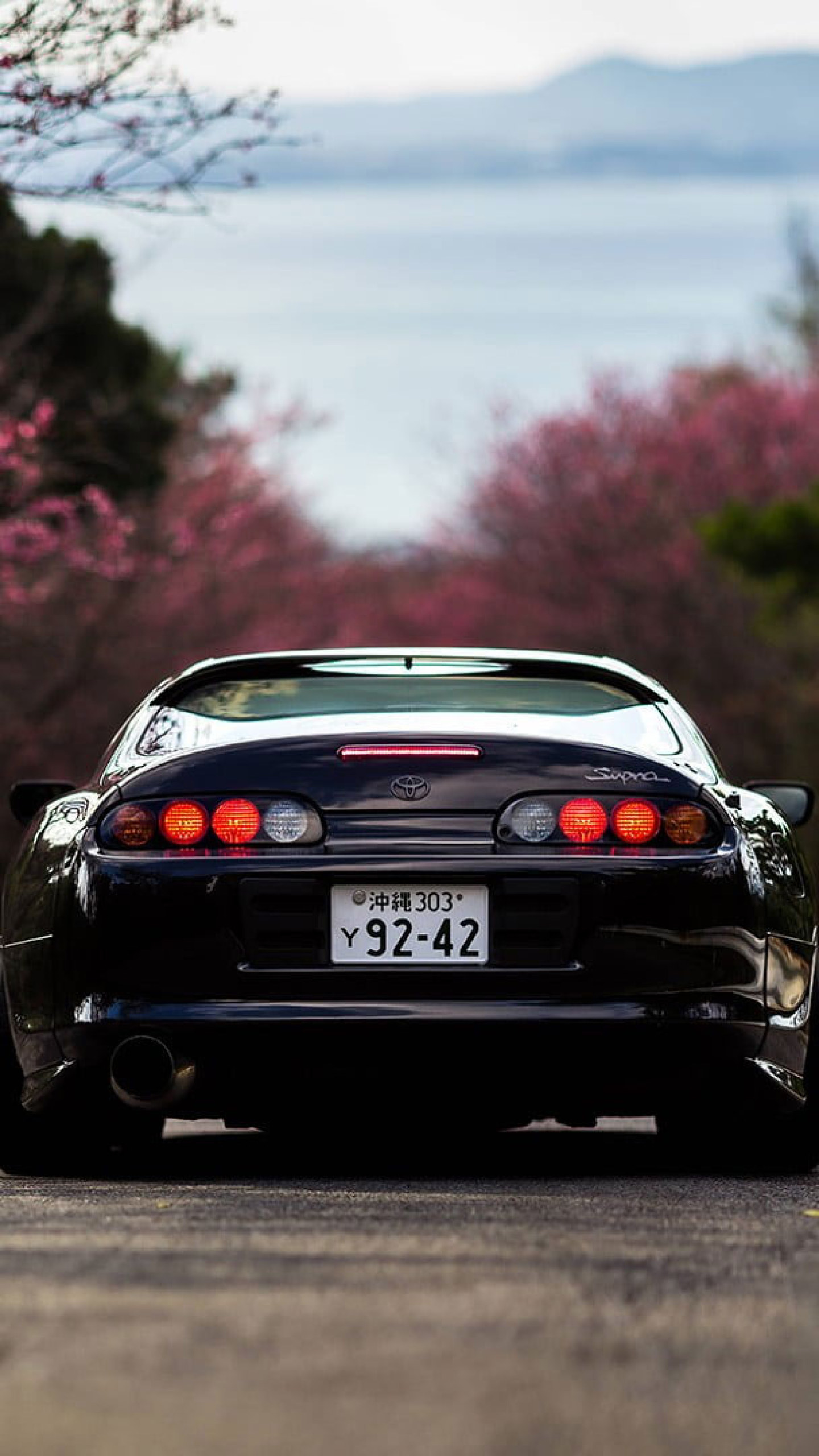 Black Supra Wallpaper