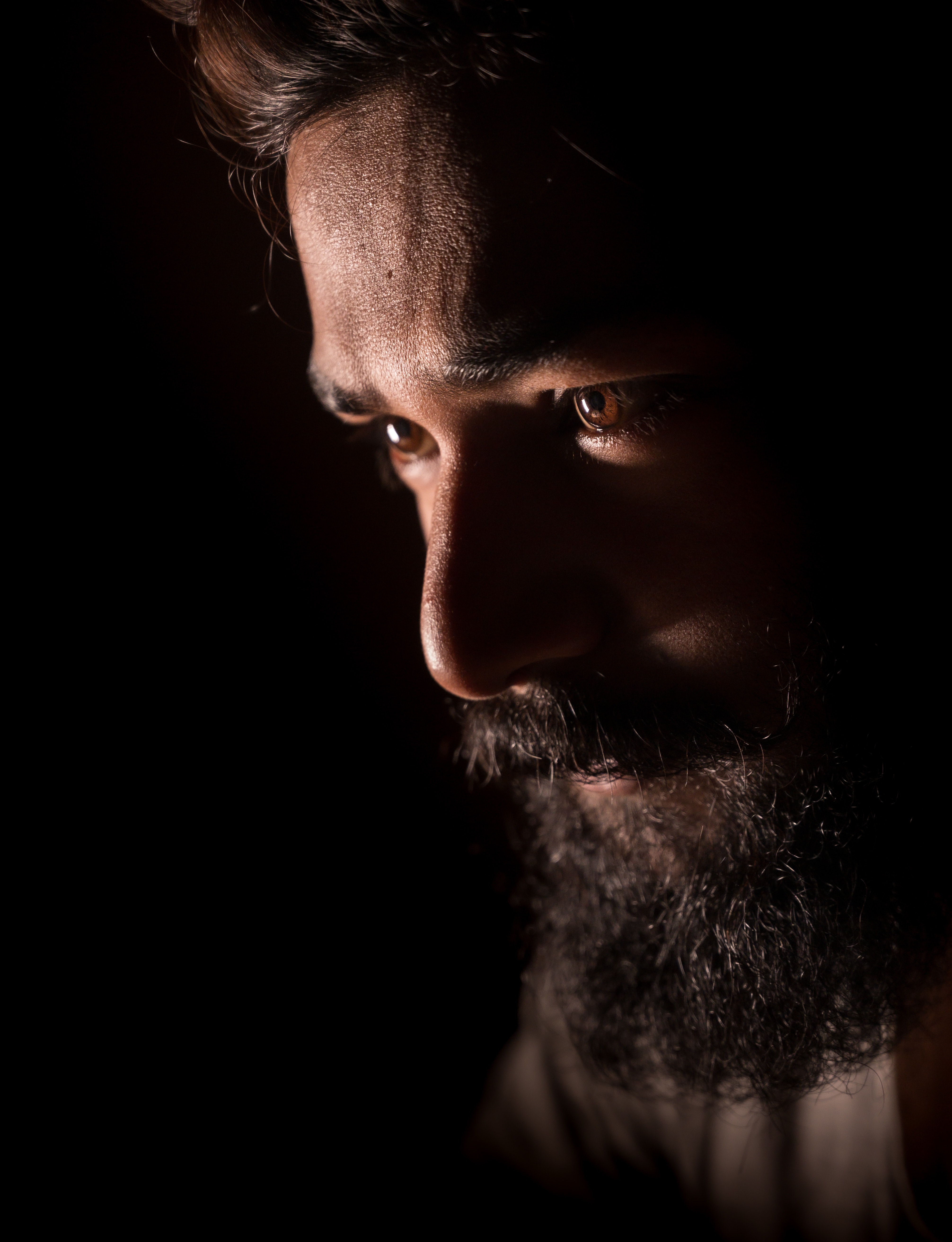 Bearded Man Photo, Download The BEST Free Bearded Man & HD Image
