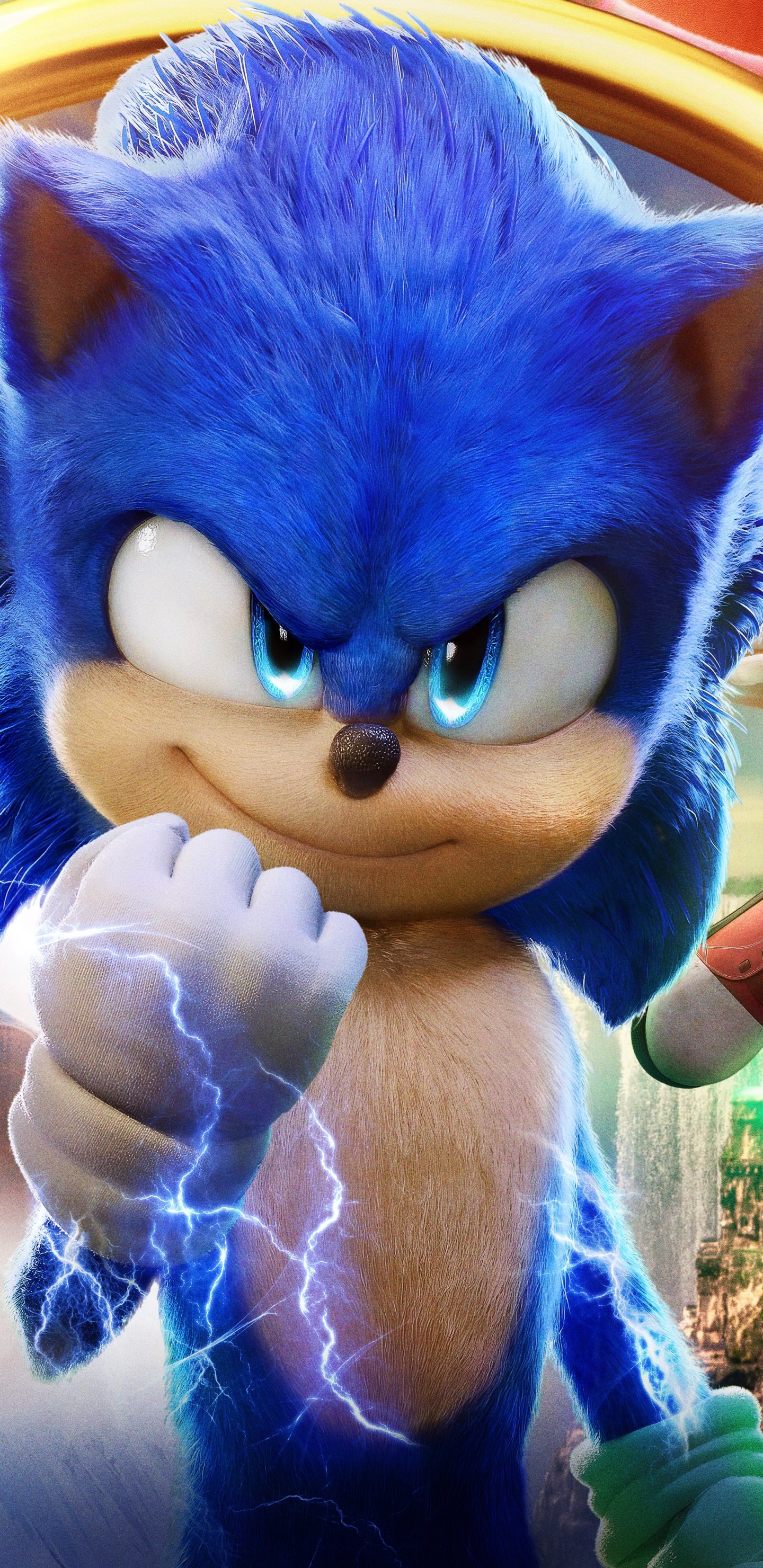 Movie Sonic The Hedgehog 2