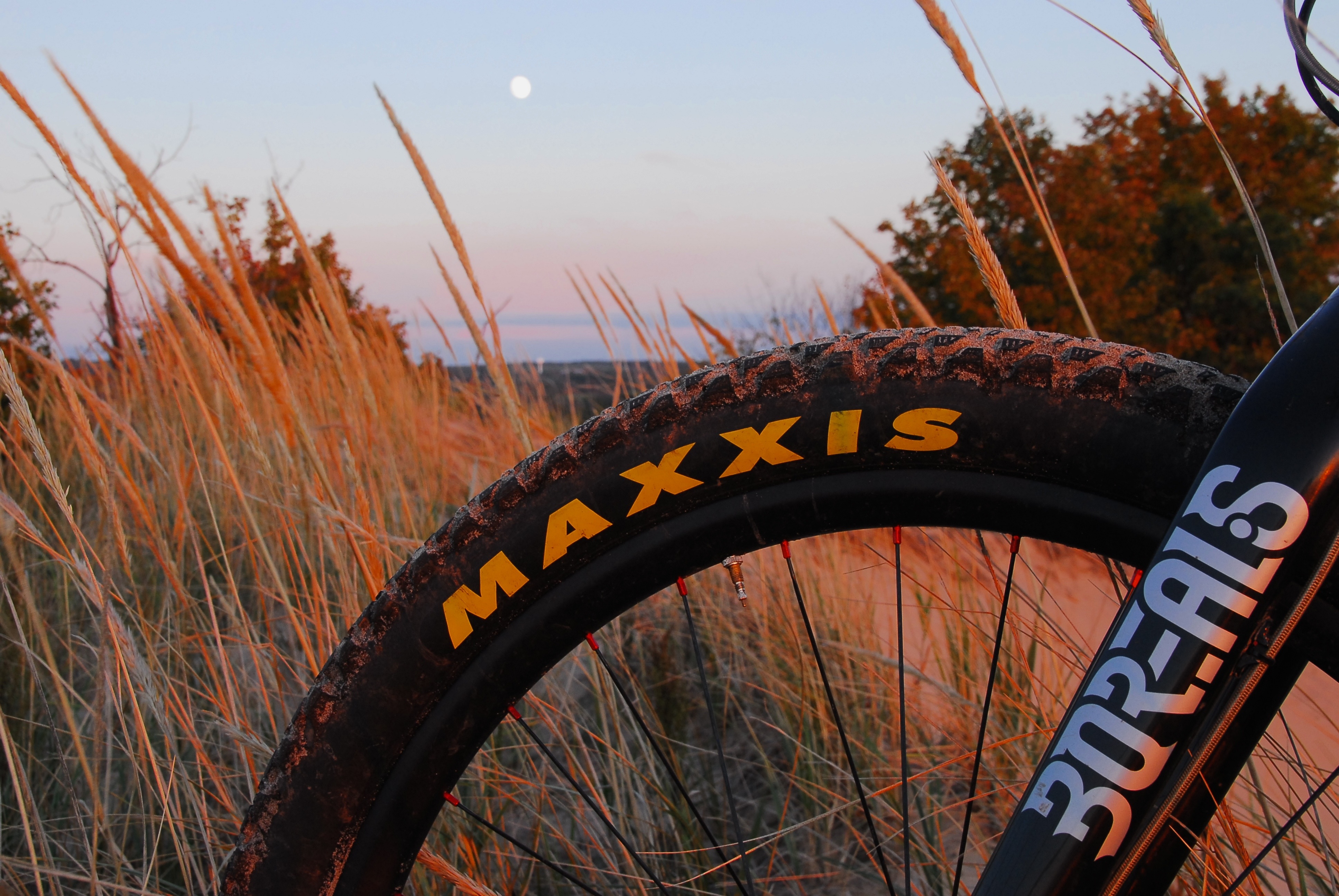 Maxxis Chronicle