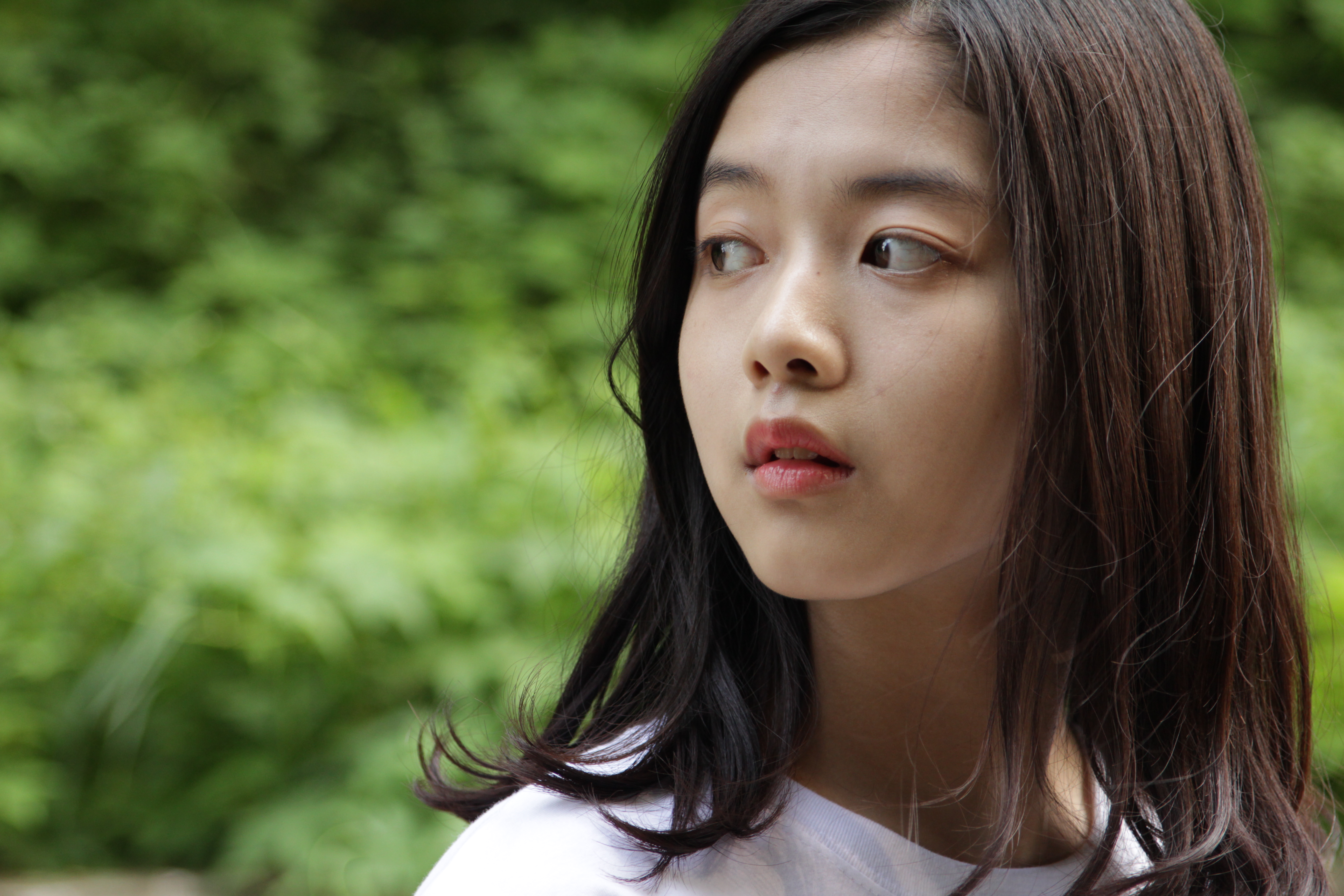 Fantasy of the Girls