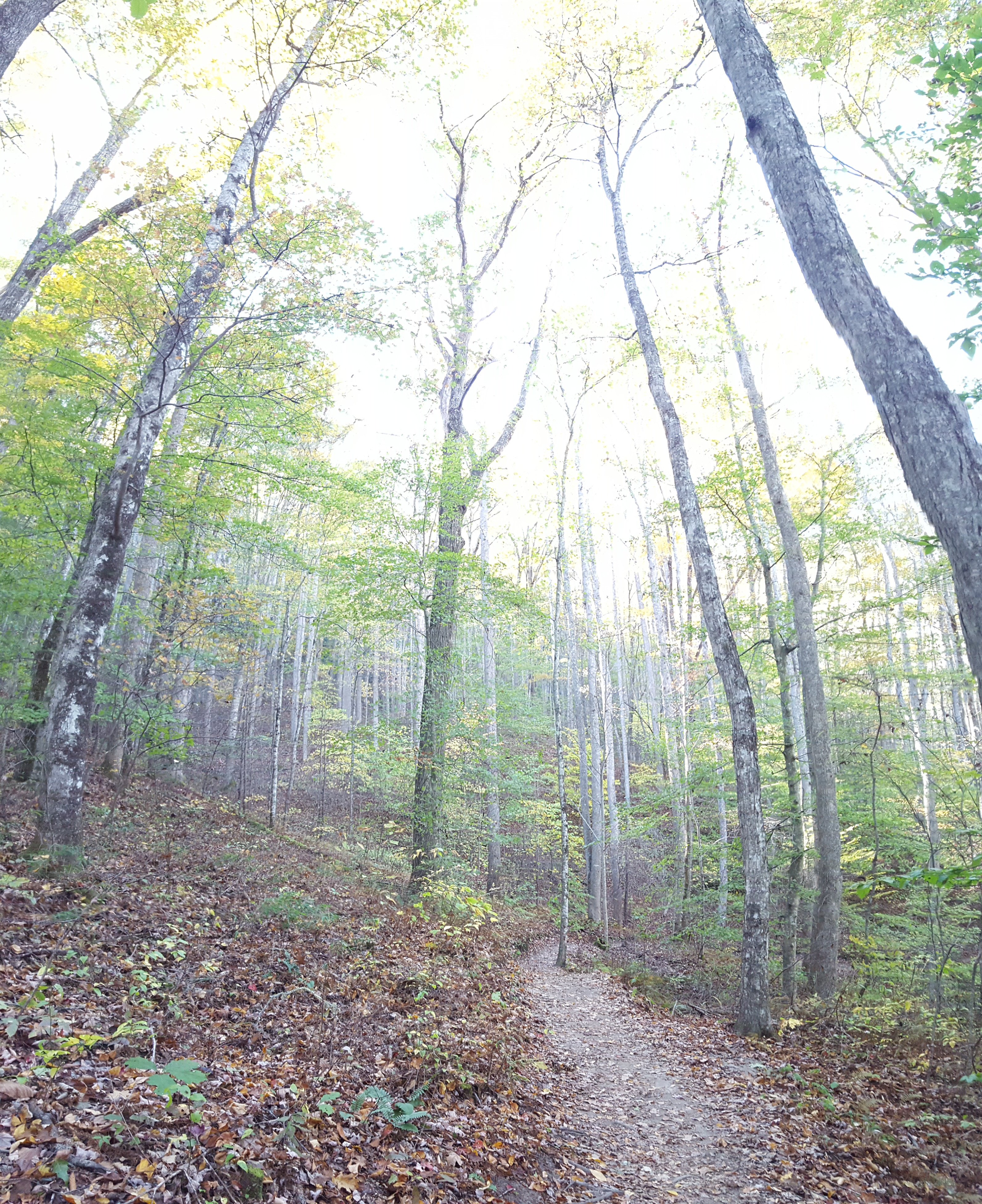 Asheville 4K wallpaper for your desktop or mobile screen free and easy to download