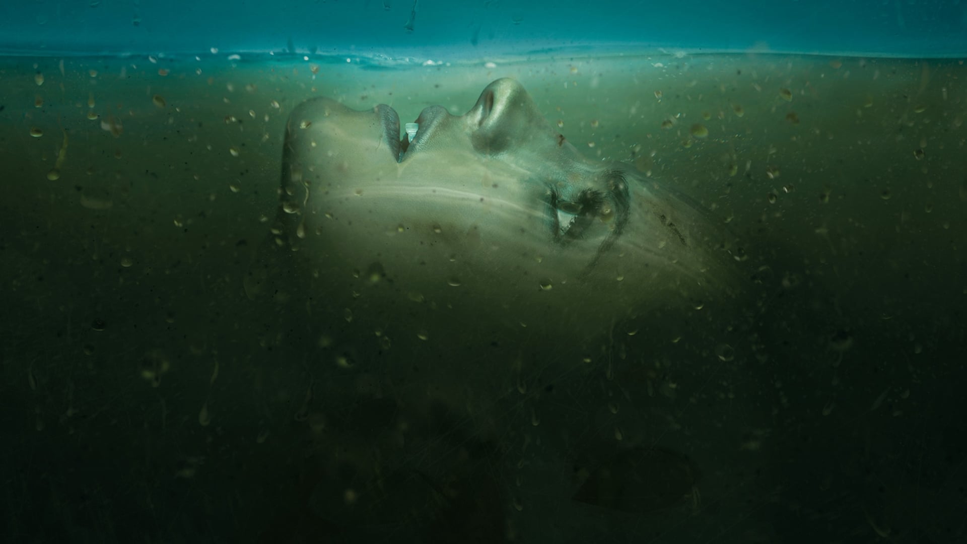 Absentia (TV Series 2017 2020)