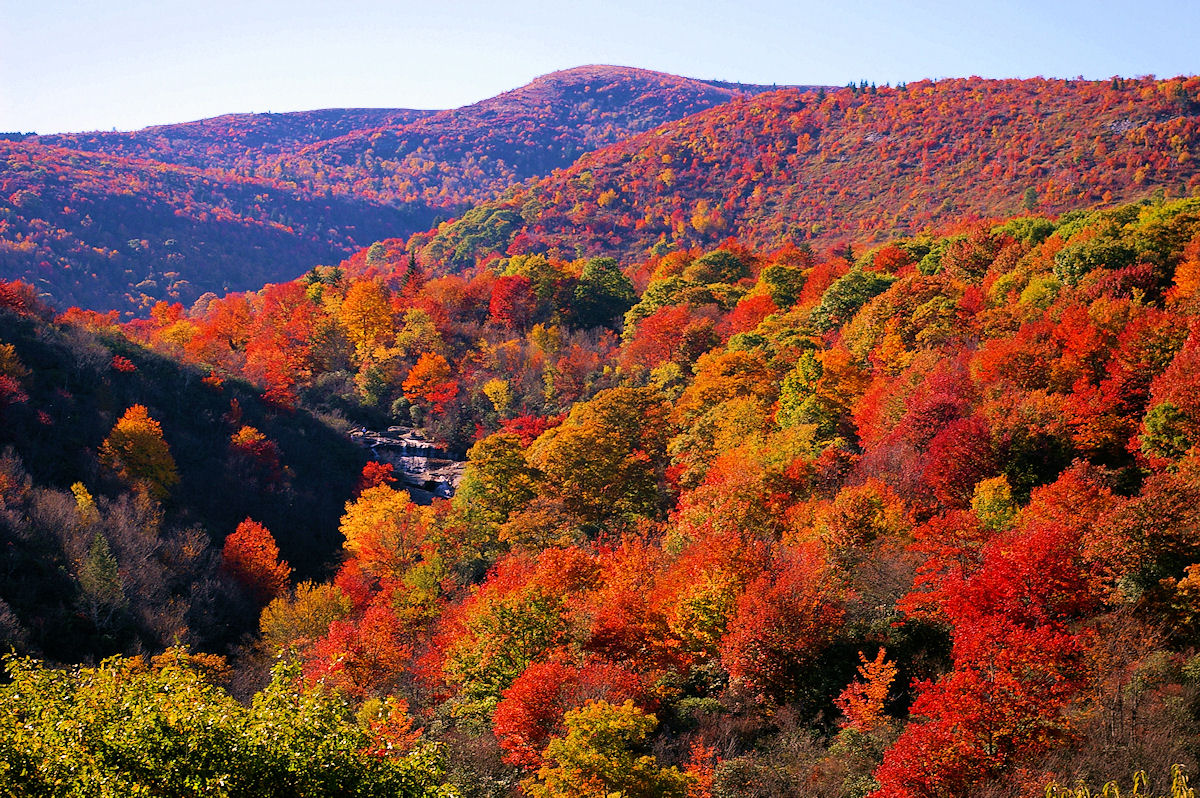 Asheville Wallpapers - Wallpaper Cave