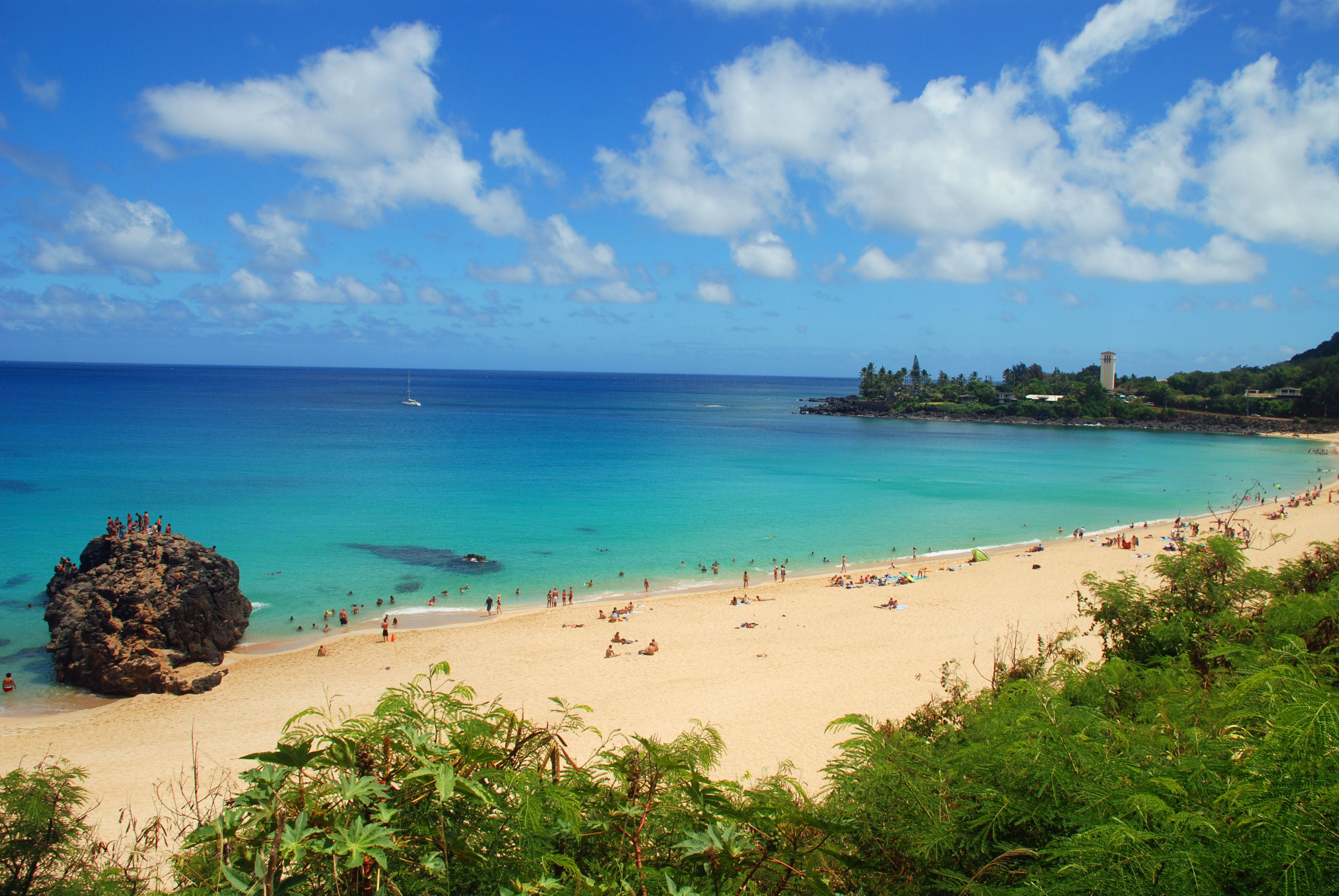 North Shore Wallpaper