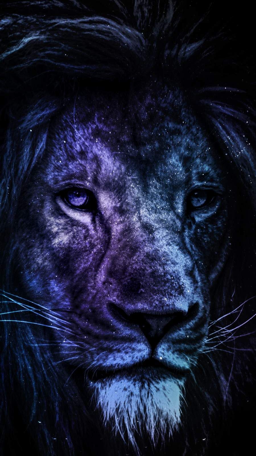 iPhone Wallpaper for iPhone iPhone 8 Plus, iPhone 6s, iPhone 6s Plus, iPhone X and iPod. Lion wallpaper iphone, Lion HD wallpaper, Cool background for iphone