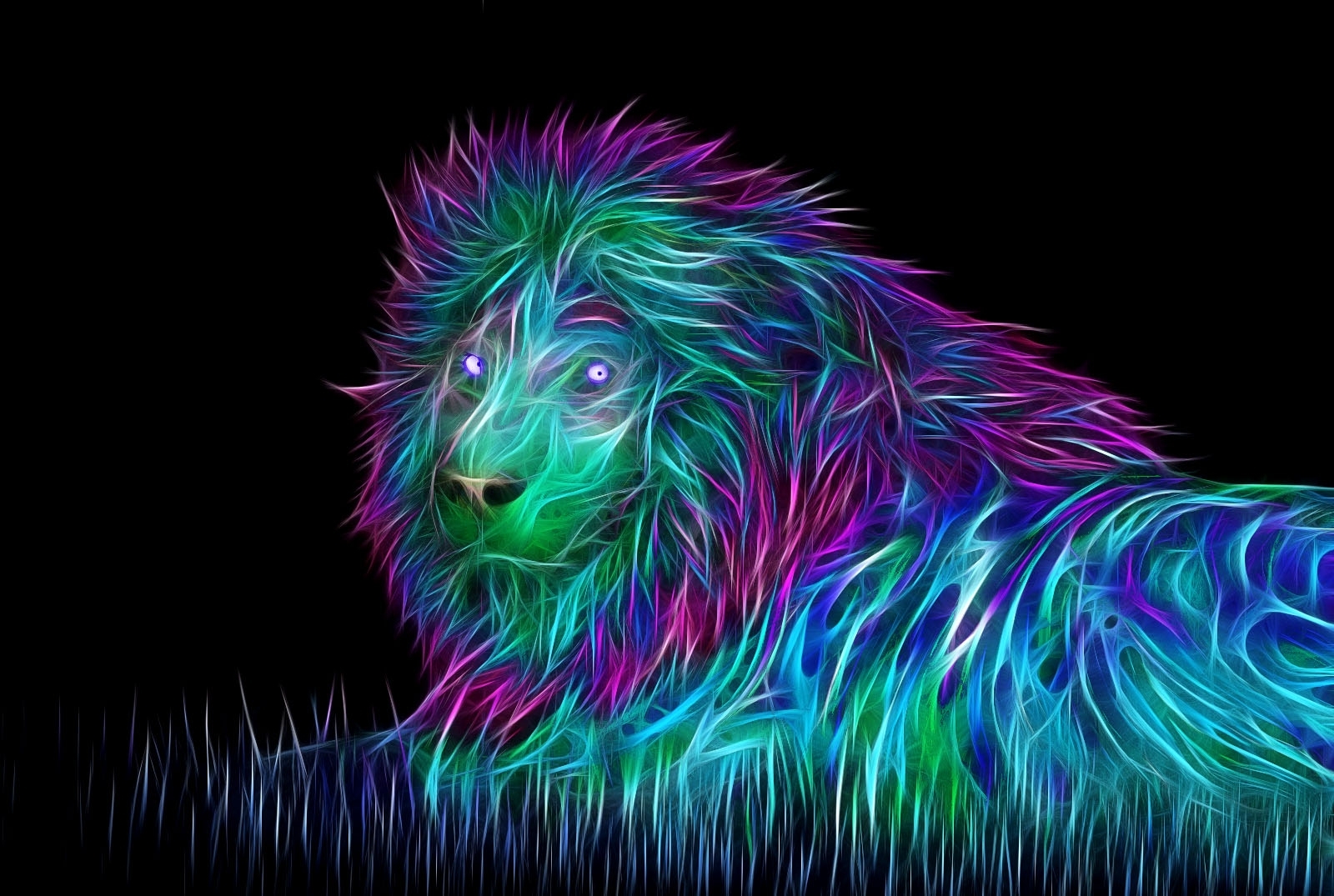 Lion Wallpaper and Background Imagex1075