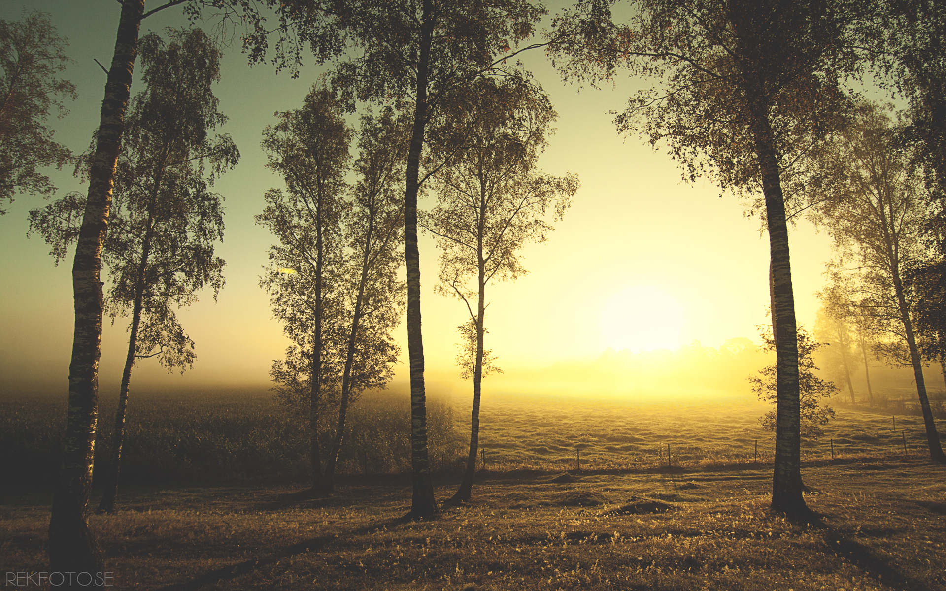 Free Download Scenery Pics Image Spring And Summer Scenery HD Wallpaper And [1920x1200] For Your Desktop, Mobile & Tablet. Explore Spring Summer Wallpaper. Spring Summer Wallpaper