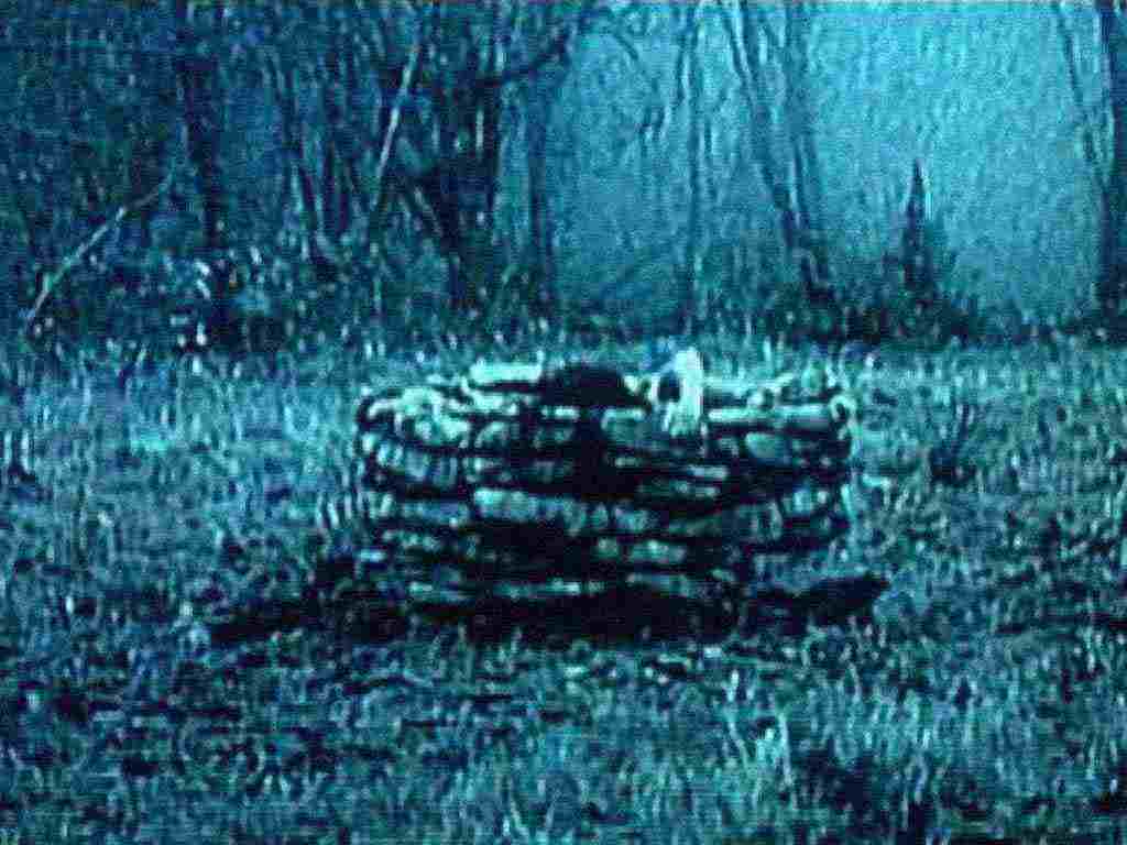 Facts About Ringu The Ring