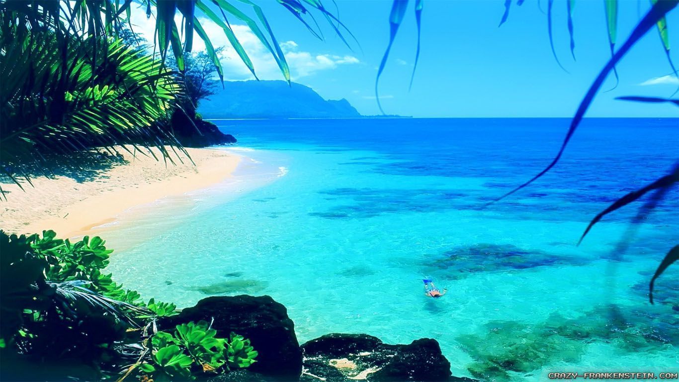 Beautiful Summer wallpaper