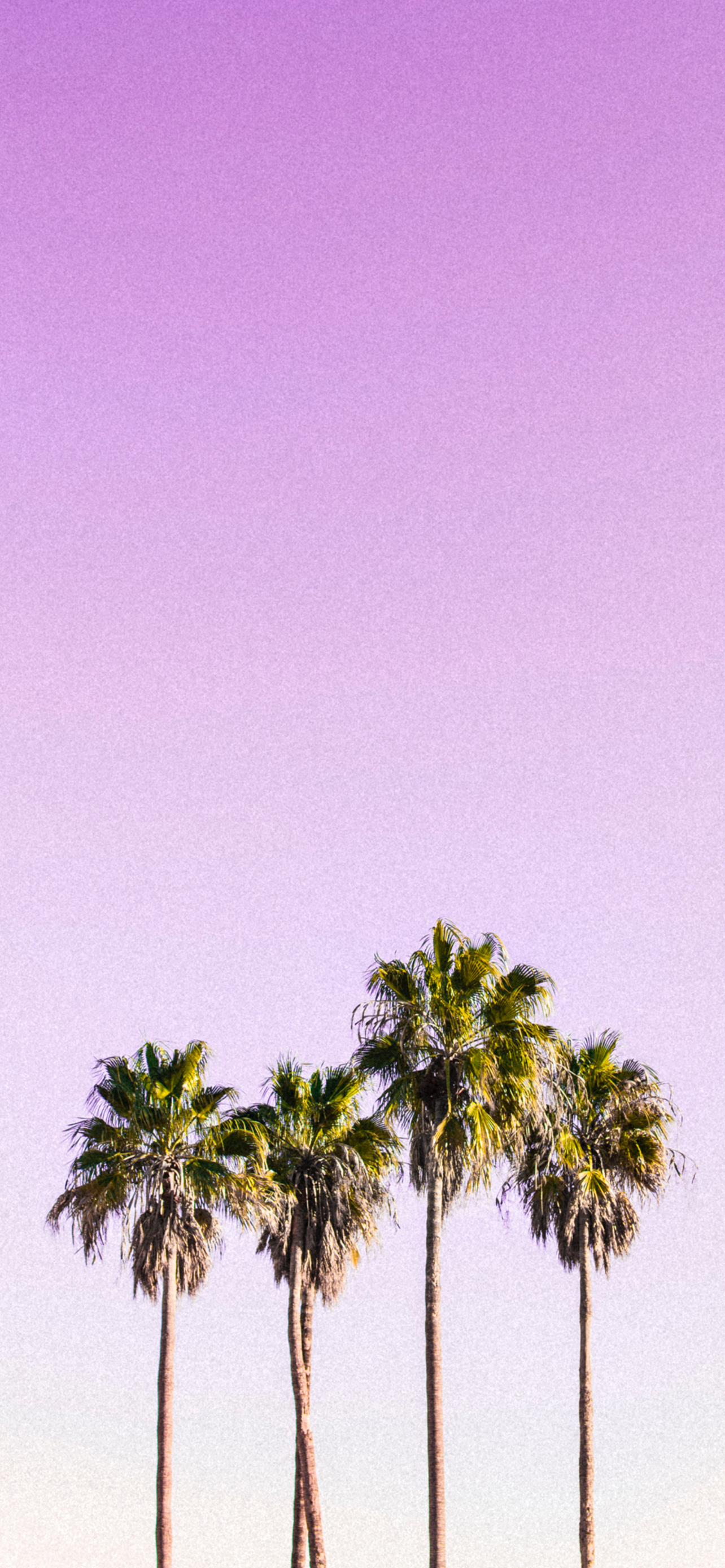 The Best High Res Wallpaper For Your New iPhone 13 Phone