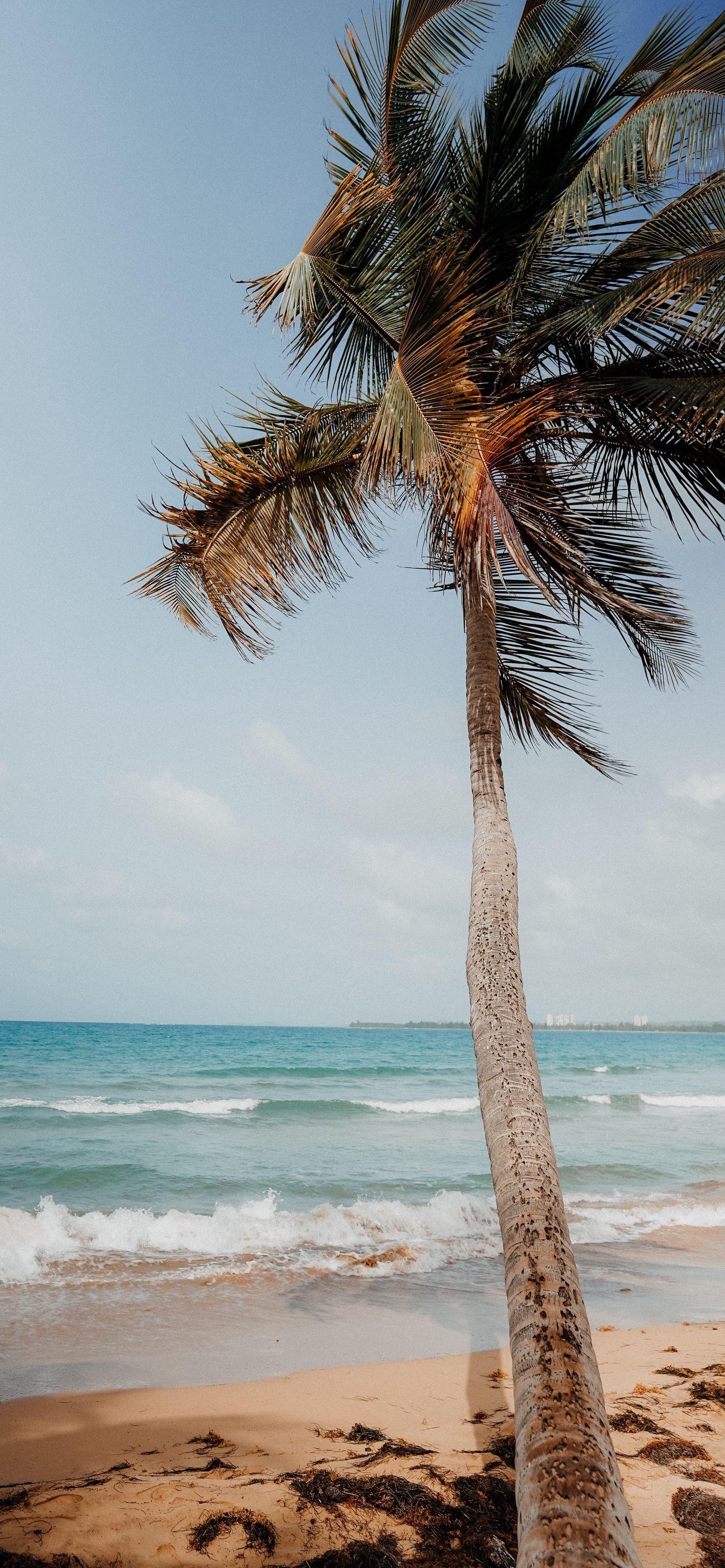 iPhone 13 Mini Setup (Wallpaper included)