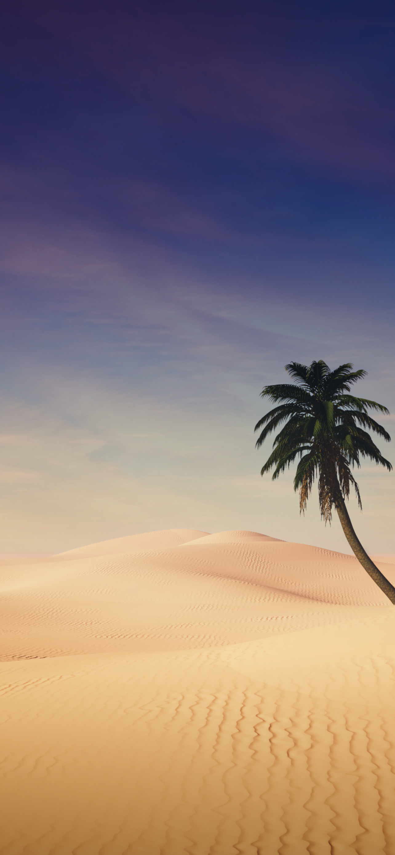 Palm tree Wallpaper 4K, Desert, Sand Dunes, Clear sky, Shadow, Sunny day, Nature