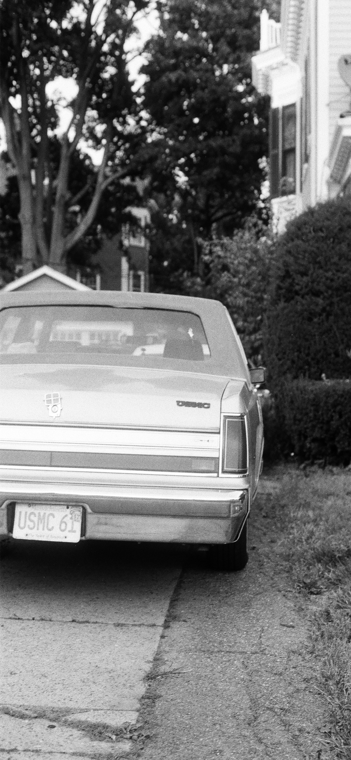 Intriguing Free Film iPhone Wallpaper to Download