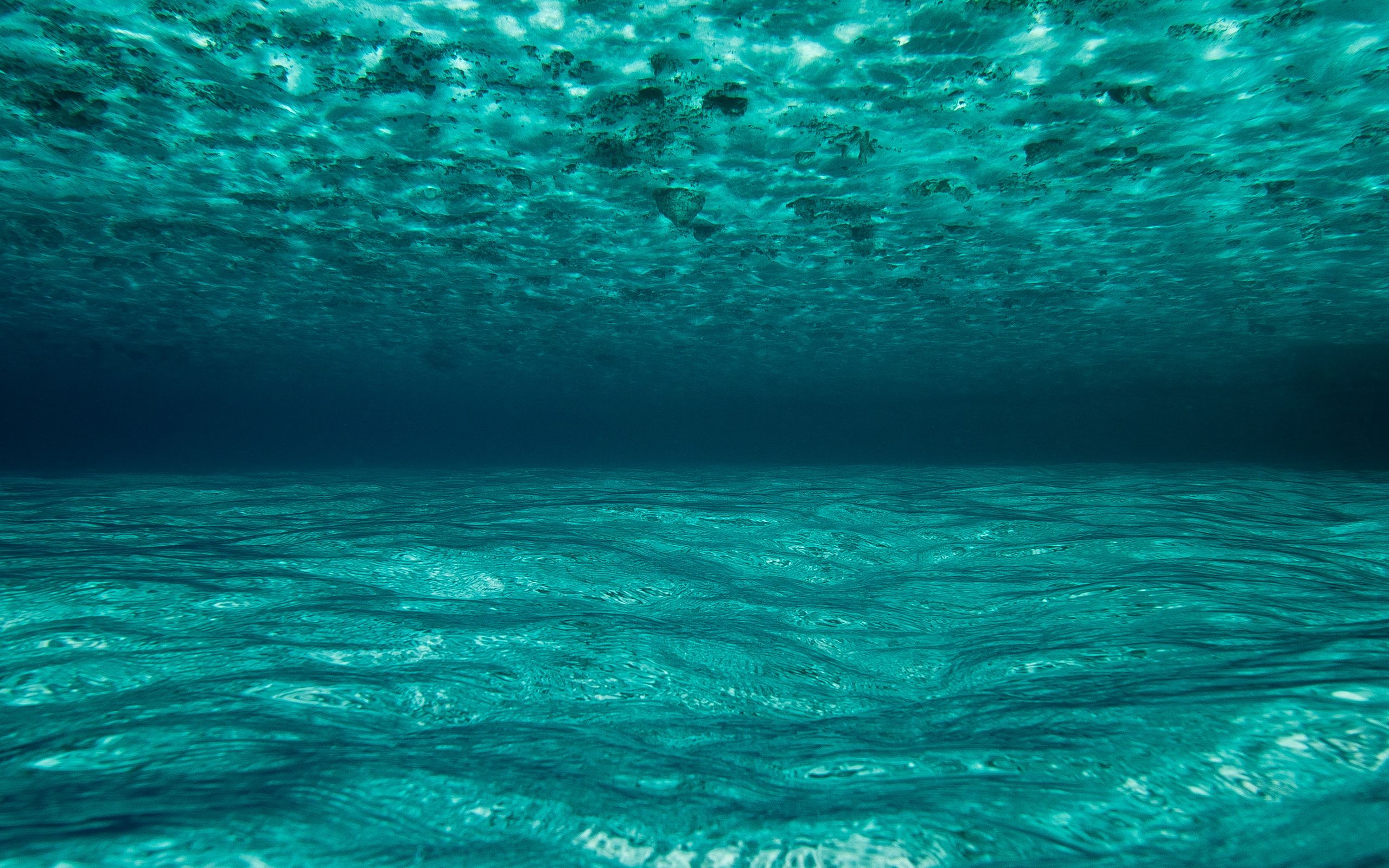 Download wallpaper 2560x1600 ocean, water, underwater, maldives widescreen 16:10 HD background