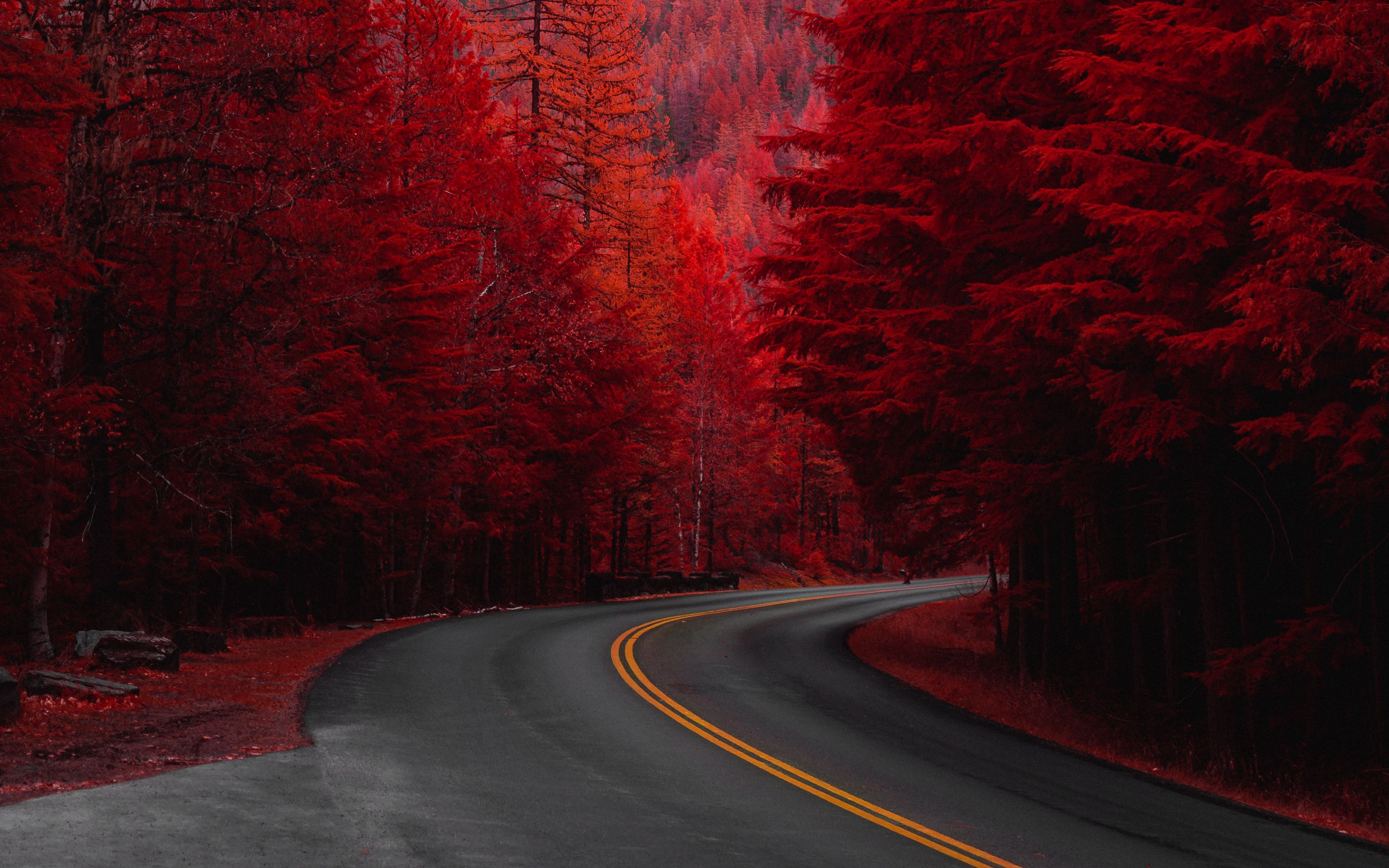 Download wallpaper 3840x2400 road, turn, trees, red, mountain, landscape 4k ultra HD 16:10 HD background