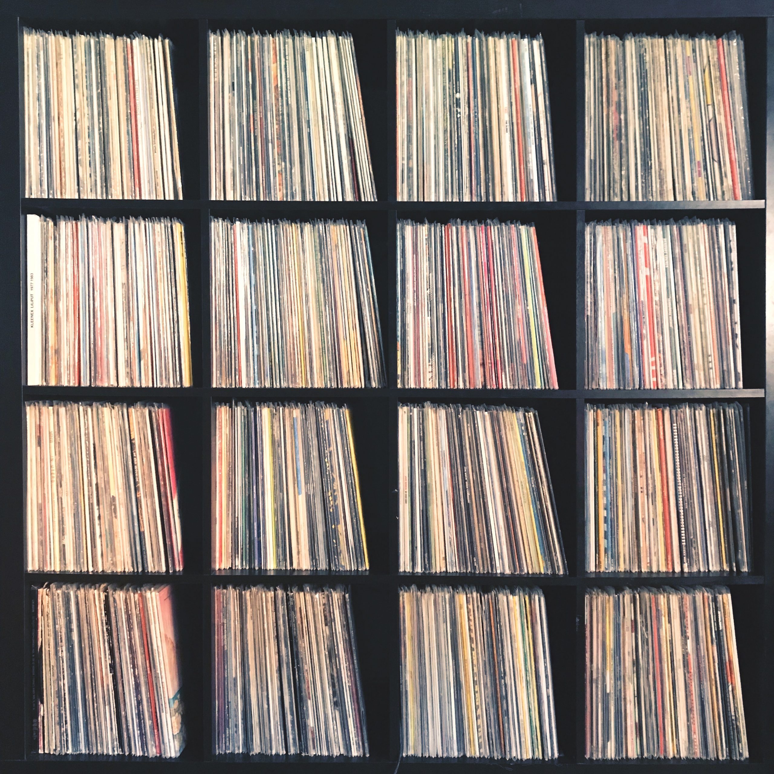 Spin Me Round: Why Vinyl is Better Than Digital for Birds