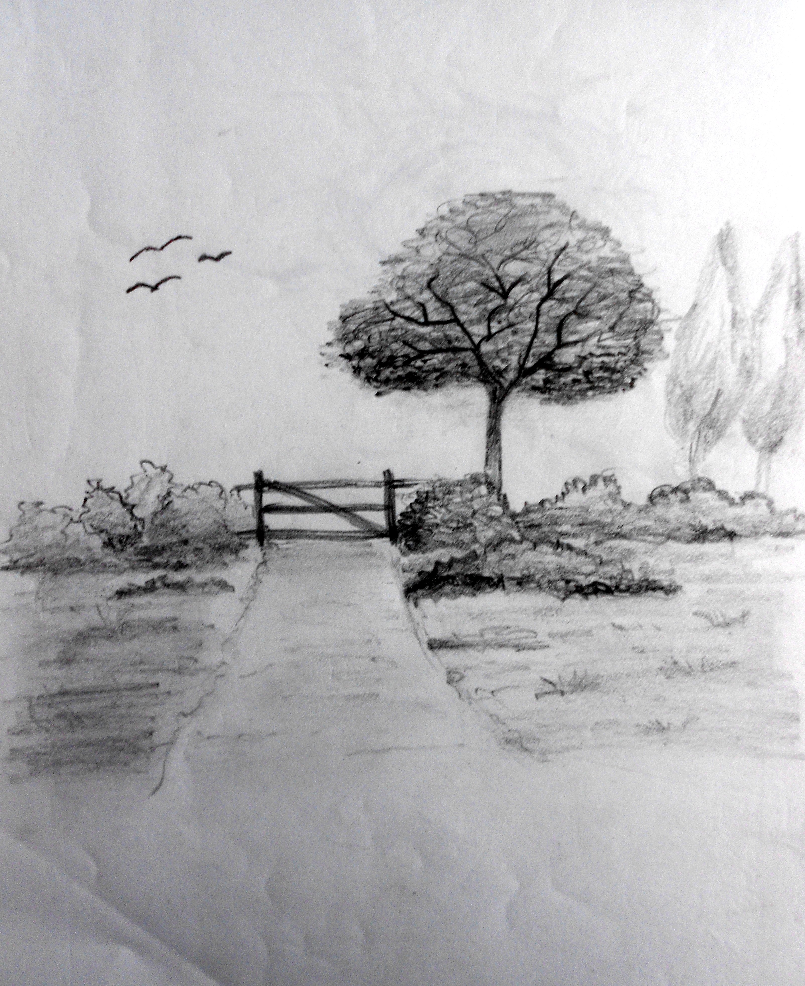Drawings of Nature For Sketching  100 Beautiful Pictures of Landscapes