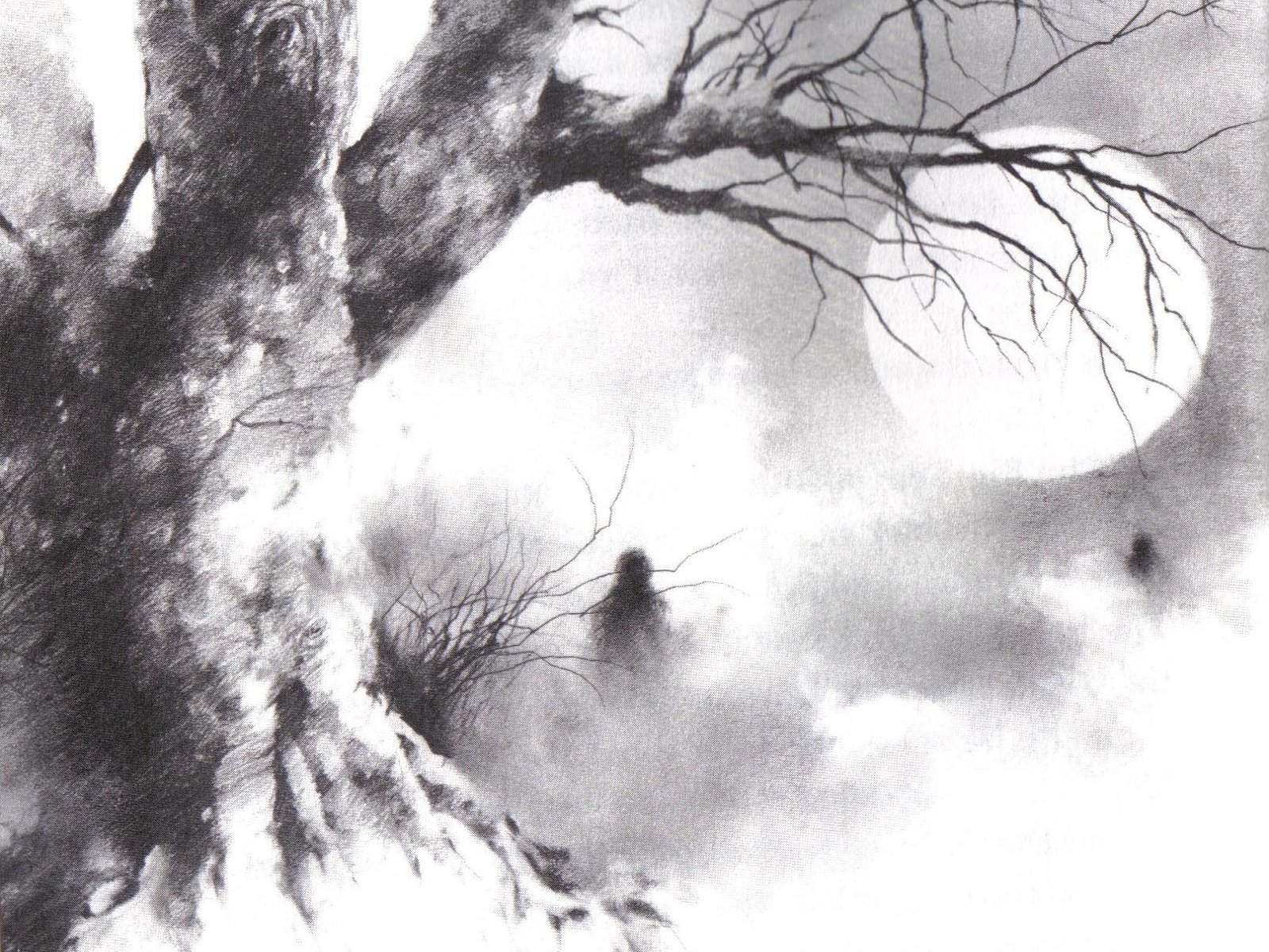 Artistic Nature Wallpaper and Background Imagex1200