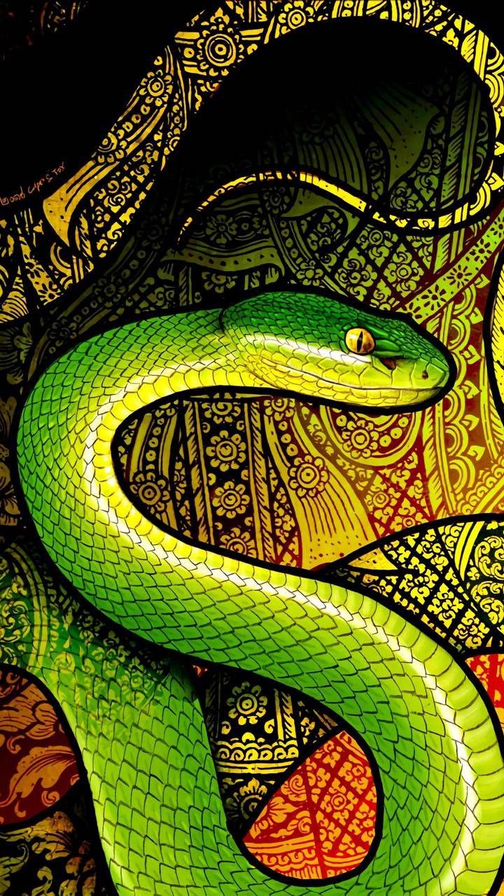 iPhone Wallpaper for iPhone XS, iPhone XR and iPhone X, iPhone Wallpaper. Snake wallpaper, Snake art, iPhone wallpaper landscape