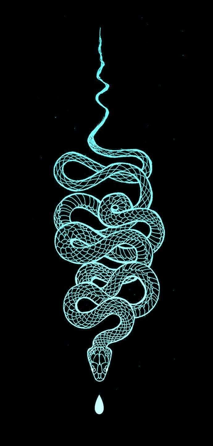 Snake iPhone Wallpaper Free Snake iPhone Background