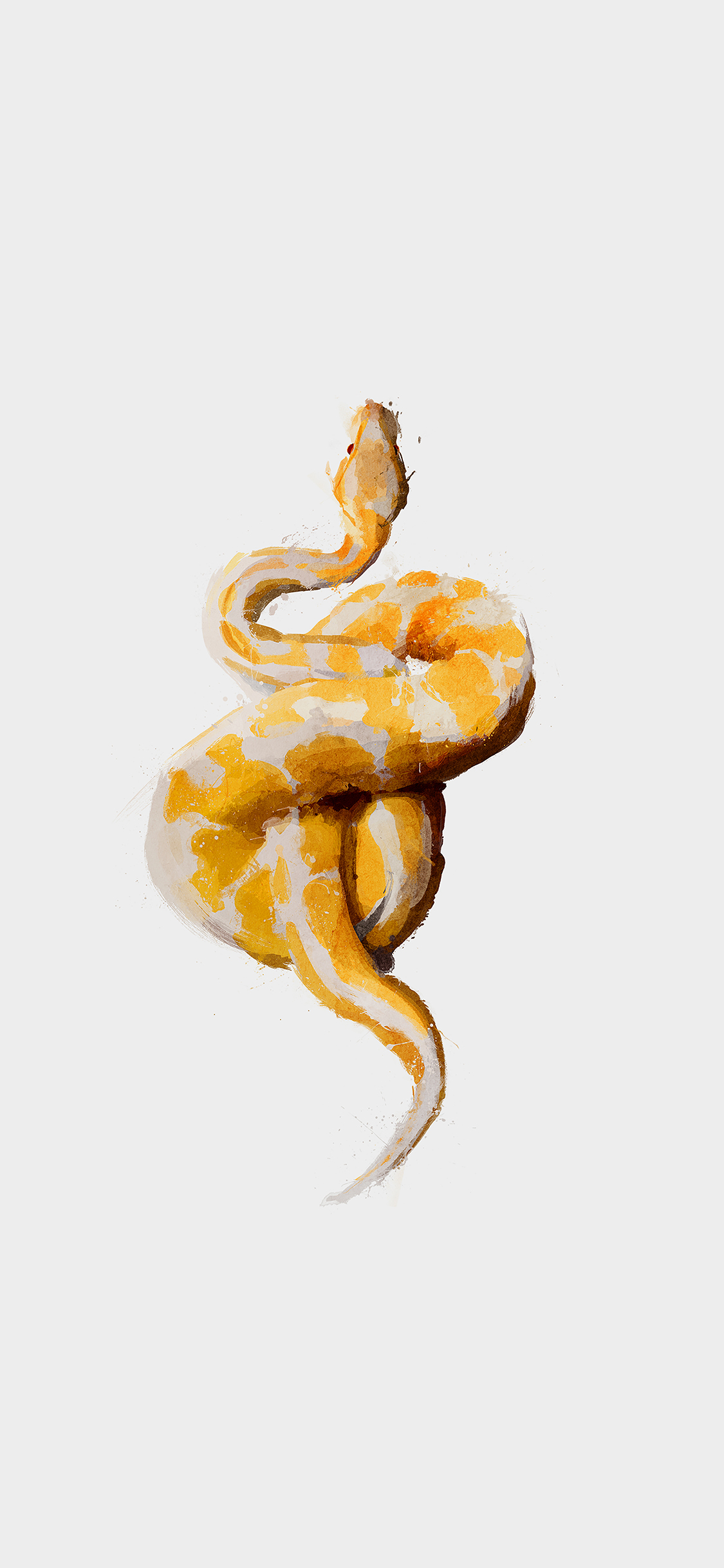 iPhone X wallpaper. snake illust minimal art