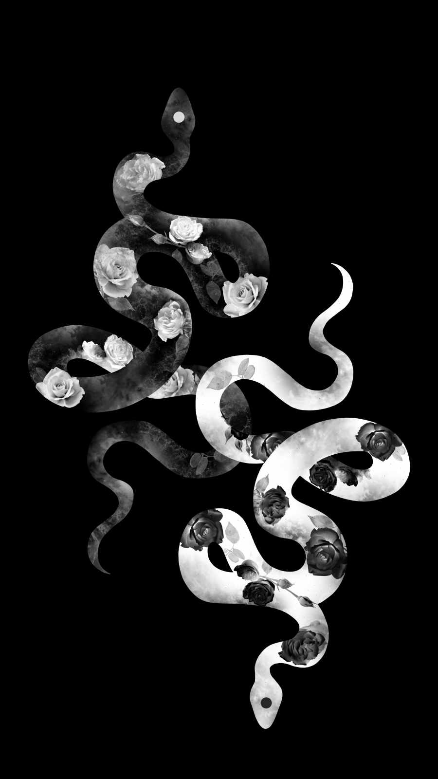Floral Snake IPhone Wallpaper Wallpaper, iPhone Wallpaper