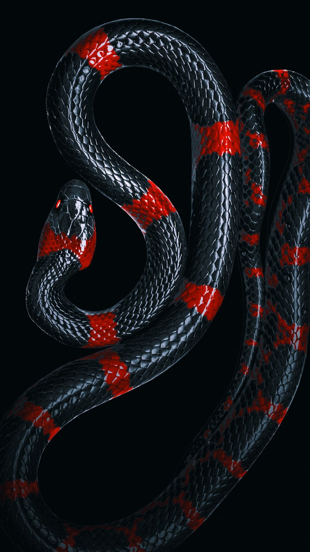 Snake Wallpaper Free Best Snake Background Download