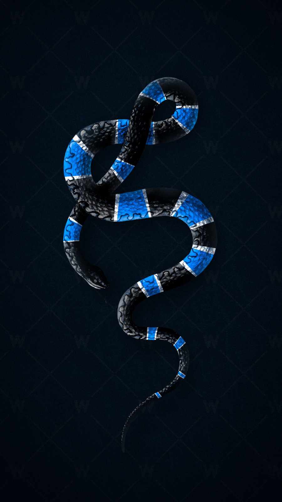 Luxury Snake IPhone Wallpaper Wallpaper, iPhone Wallpaper