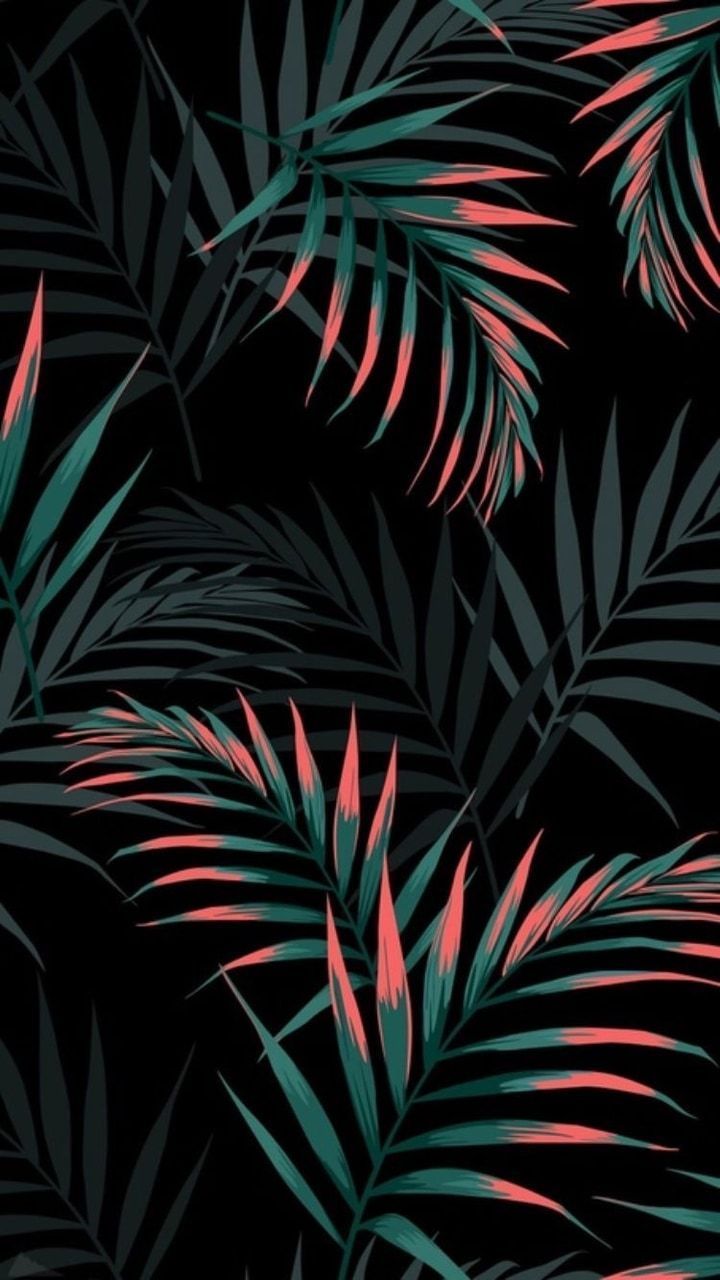 Tropical Phone Wallpaper Free Tropical Phone Background