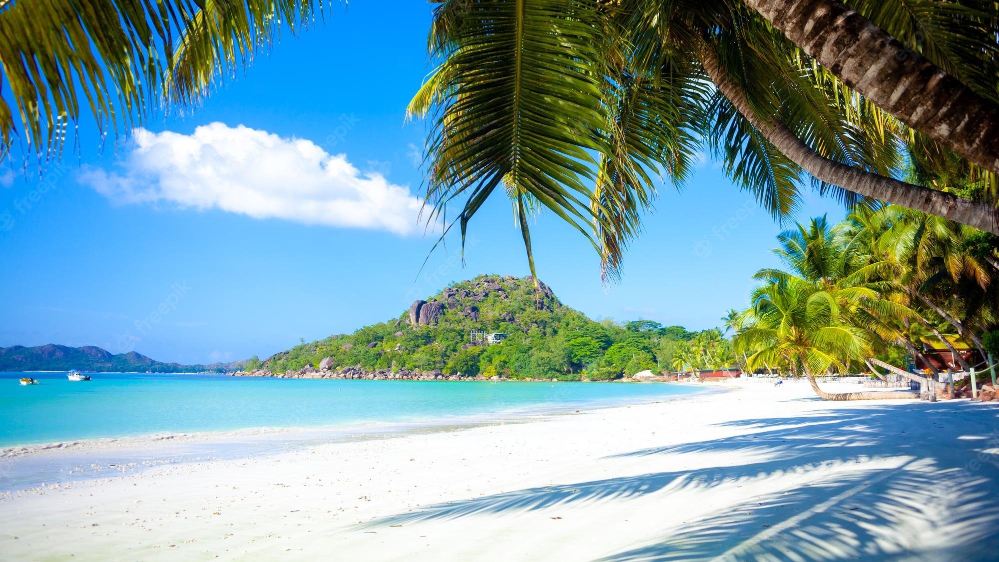 Premium Photo. Vacation summer holidays background wallpaper sunny tropical exotic caribbean paradise beach