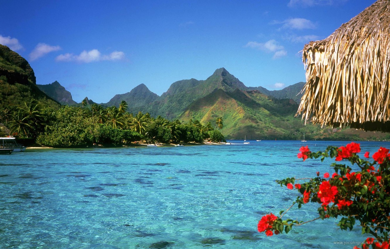 Wallpaper Islands, Bahamas, Travel image for desktop, section пейзажи