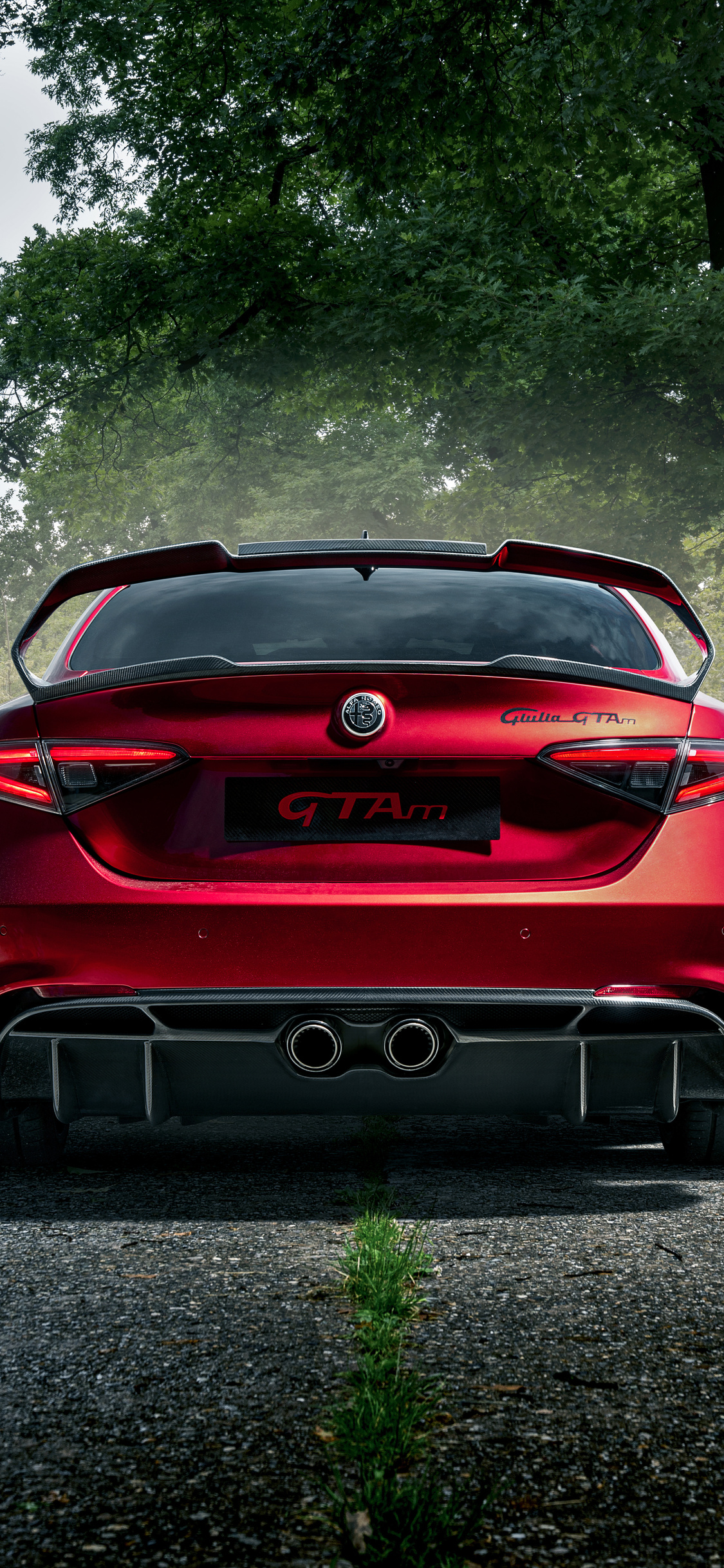 Alfa Romeo Giulia Gta 2021 8k iPhone XS, iPhone 10, iPhone X HD 4k Wallpaper, Image, Background, Photo and Picture