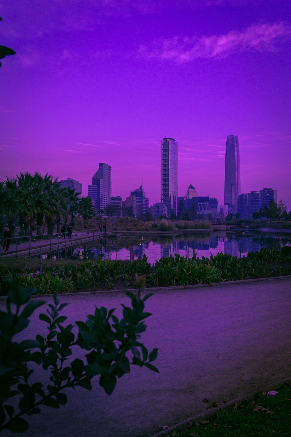 Purple City Picture. Download Free Image