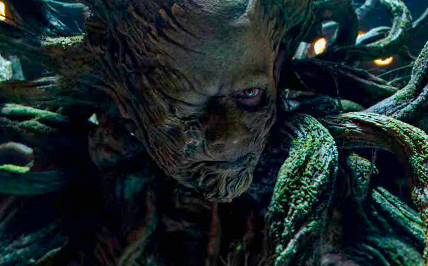 What 'The Witcher' got wrong about LESHY